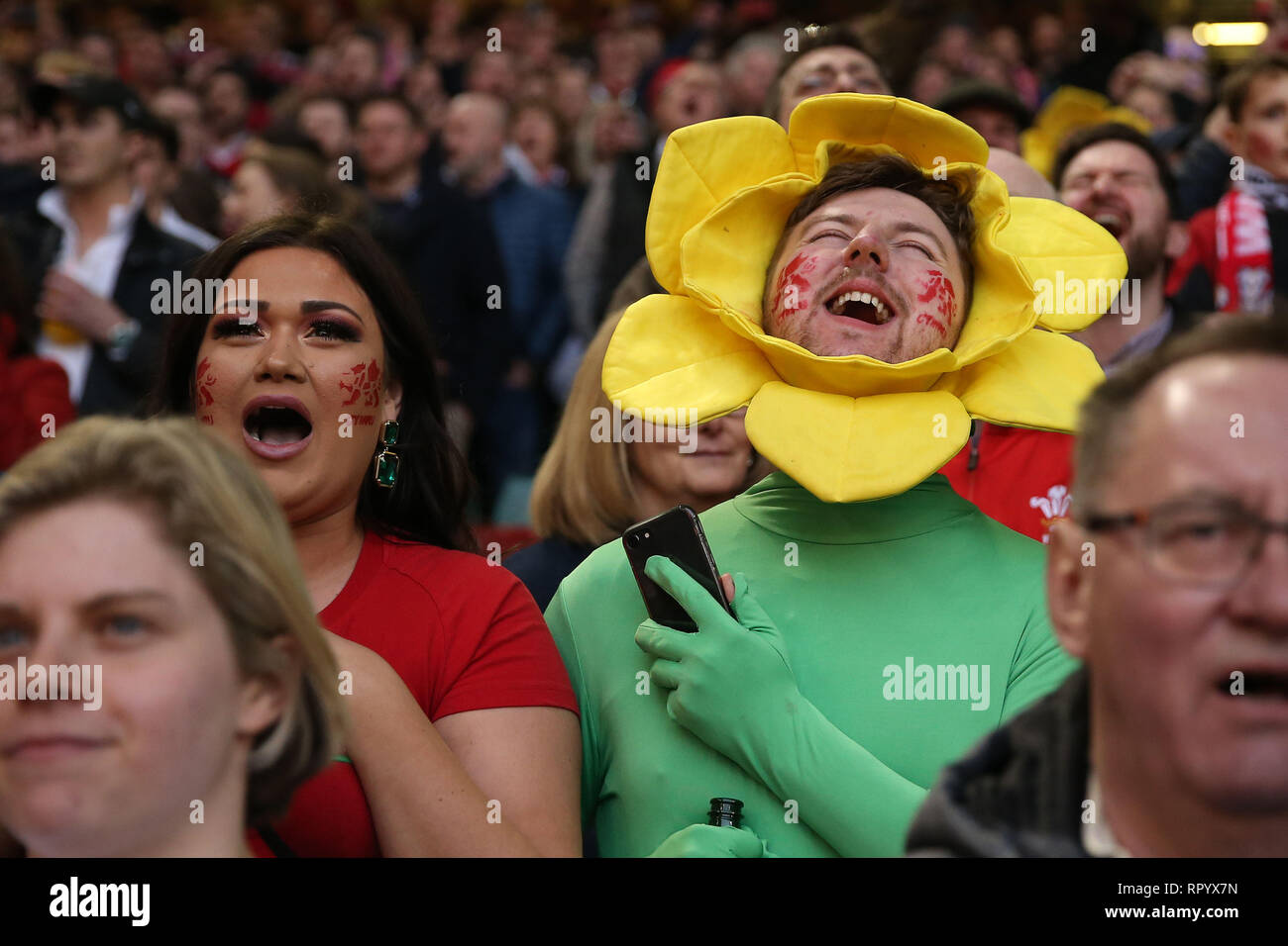 Cardiff, Regno Unito. Il 23 febbraio, 2019. I fan del Galles celebrare. Il Galles v Inghilterra Guinness Sei Nazioni 2019 international partita di rugby al Principato Stadium di Cardiff Wales, Regno Unito sabato 23 febbraio 2019. pic da Andrew Orchard/Alamy Live News nota immagine disponibile per il solo uso editoriale Foto Stock