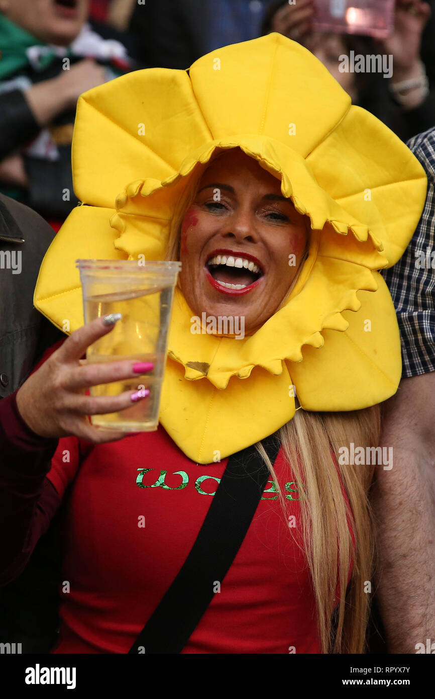 Cardiff, Regno Unito. Il 23 febbraio, 2019. I fan del Galles celebrare. Il Galles v Inghilterra Guinness Sei Nazioni 2019 international partita di rugby al Principato Stadium di Cardiff Wales, Regno Unito sabato 23 febbraio 2019. pic da Andrew Orchard/Alamy Live News nota immagine disponibile per il solo uso editoriale Foto Stock