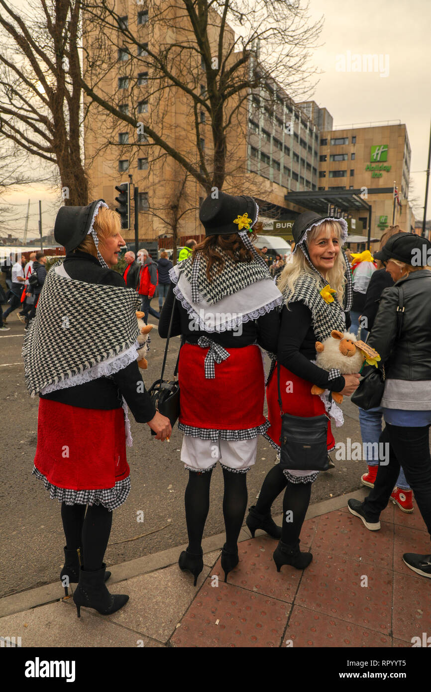 Principato Stadium di Cardiff, Galles, 23 febbraio 2019. I sostenitori di rugby di godere dell'atmosfera in anticipo di oggi del gioco crunch nel Sei Nazioni di rugby campionato tra Galles e Inghilterra. Sei Nazioni di Rugby, Principato Stadium di Cardiff, Galles, UK. Credito: Haydn Denman/Alamy Live News. Foto Stock