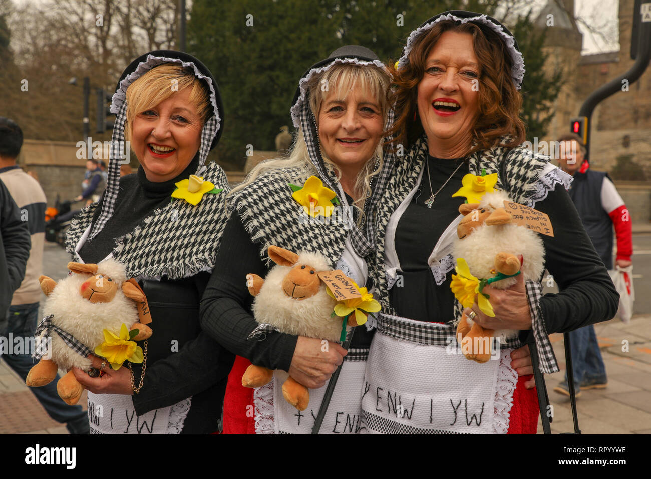 Principato Stadium di Cardiff, Galles, 23 febbraio 2019. I sostenitori di rugby di godere dell'atmosfera in anticipo di oggi del gioco crunch nel Sei Nazioni di rugby campionato tra Galles e Inghilterra. Sei Nazioni di Rugby, Principato Stadium di Cardiff, Galles, UK. Credito: Haydn Denman/Alamy Live News. Foto Stock