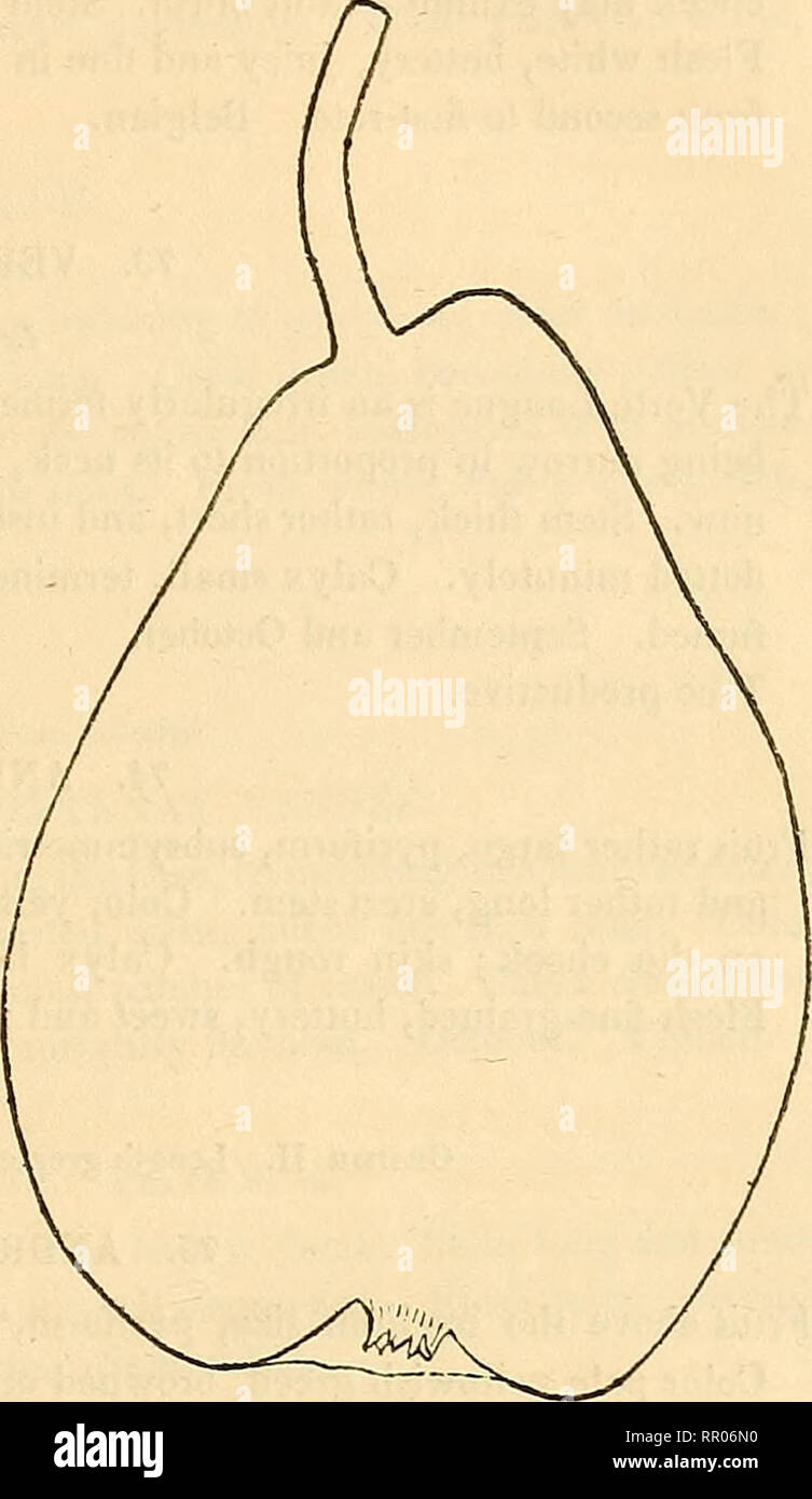 . Agricoltura di New York : comprendente un conto della classificazione, composizione e distribuzione dei terreni e rocce ... insieme con una vista condensata del clima e le produzioni agricole dello stato. Agricoltura; Suoli; frutti-coltura. Di pere estive. 135 69, Louise Bonne di Jersey. La piastra 7. (Thompson.) William il quarto, ecc. La fig, 17. Frutto grande e lunga piriforme ; i lati dissimili, rastremata da sopra la metà di un angolo ottuso di base, che può essere dentellata. Modalità di stelo- rately lungo ricurvo, e stout. Il colore verde pallido in ombra, ma overspread con rosso brunastro al sole ; Foto Stock