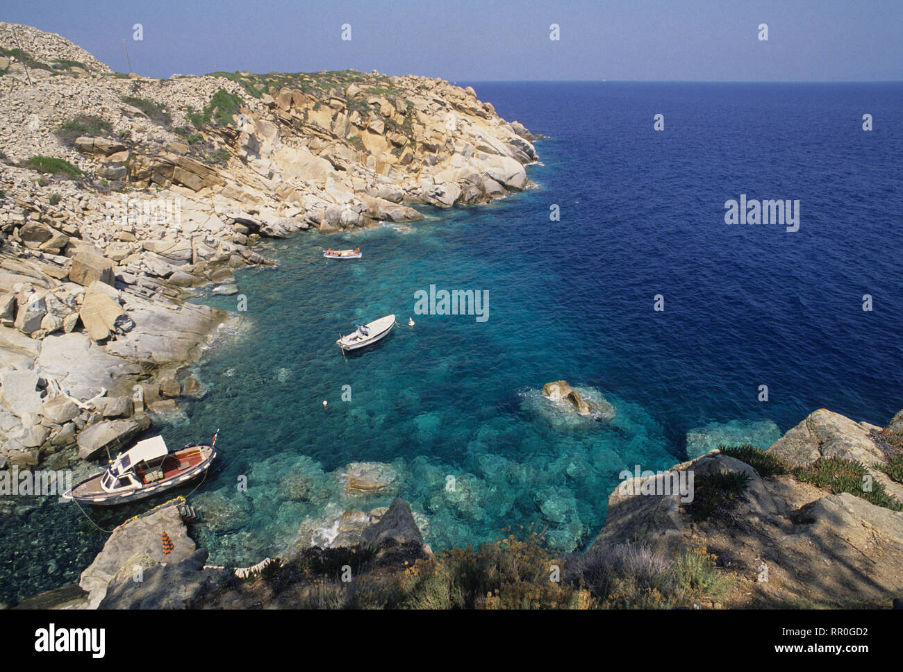 Isola del giglio, cala degli alberi, toscana (Toscana), Italia Foto Stock