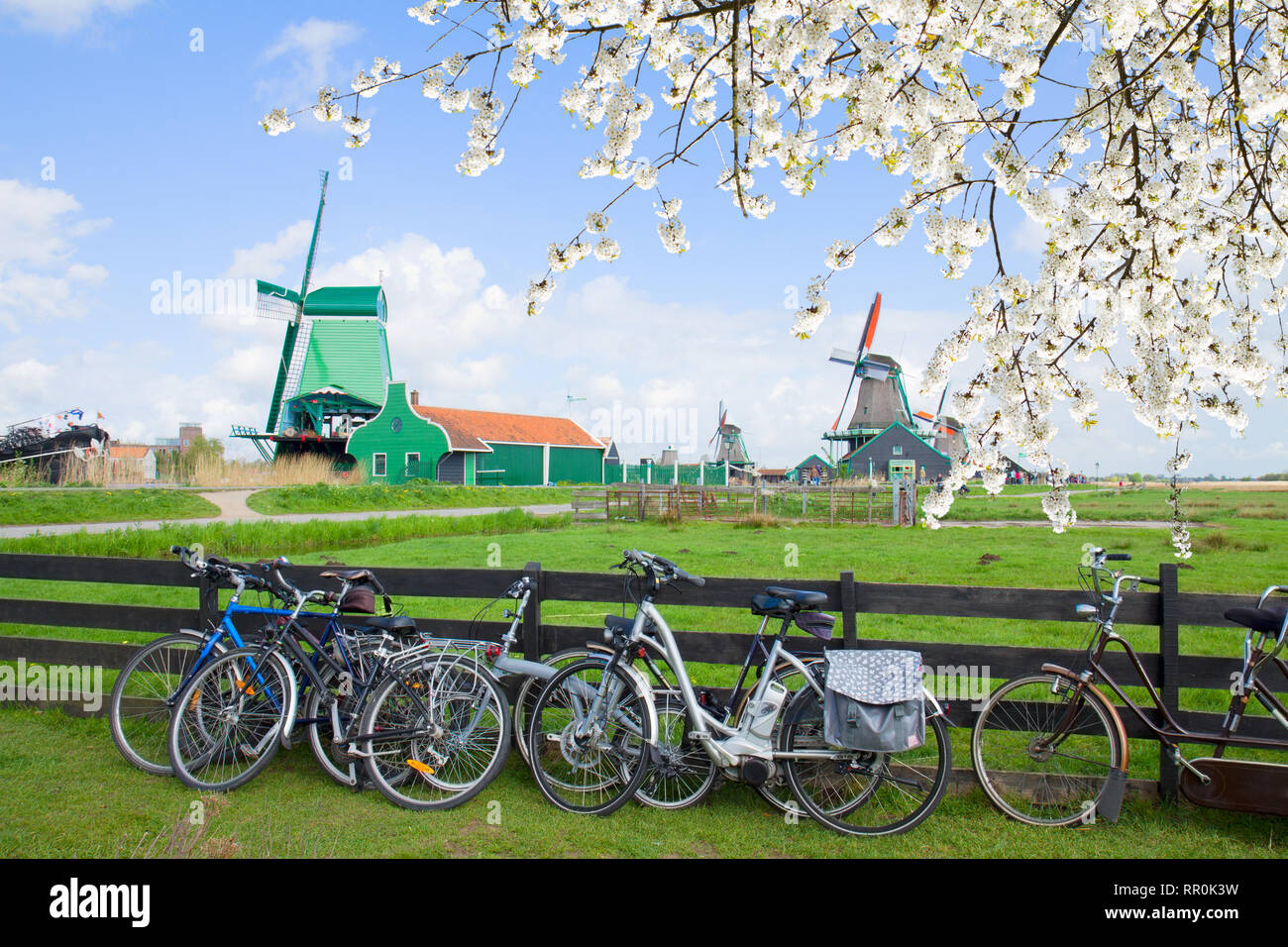 Mulini a vento olandese con le bici a Zaanse Schans Foto stock - Alamy