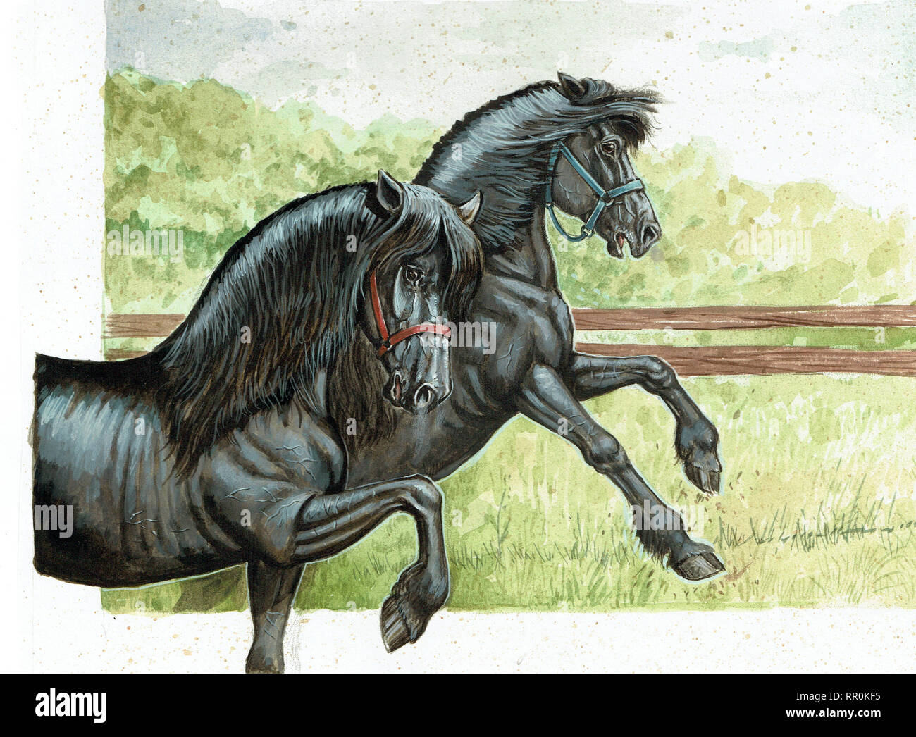 Cavalli neri illustrazione. Pittura Acrilica. Ritratto di cavallo. Foto Stock