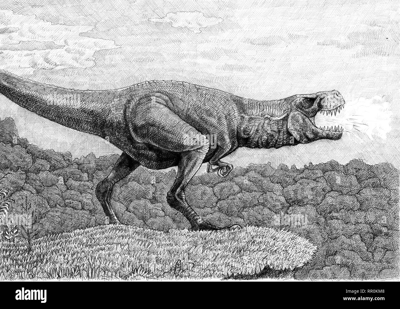 Tyrannosaurus rex disegno. Dinosauro fatto a mano illustrazione. Antico drago. T-rex. Foto Stock