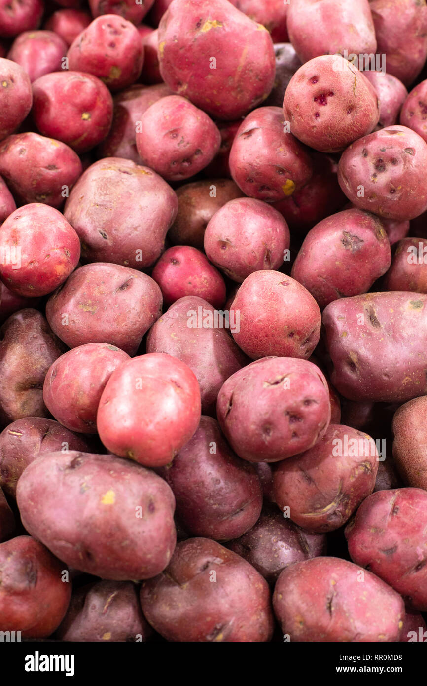 Cumulo di materie di patate rosse di generi alimentari bin Foto Stock