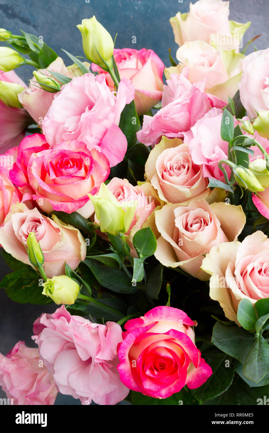 Freschi di fiori di rosa su grigio Foto Stock