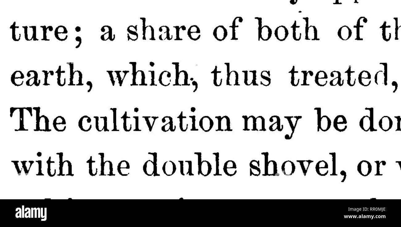 . American pomology : mele. Le mele. La propagazione. 131 l^Aeir estate di lavoro in tempo per maturare il loro legno thor- ougiily prima dell'avvento dell'inverno. Ciò è particolarmente necessario nel caso in cui il clima è grave, in particolare sulle nuove terre, dove gli alberi sono molto vigorosa. All'ap- proach d'inverno, è una buona pratica per arare un pelo di luce- row ngainst gli alberi su ciascun lato; in questo modo si protegge il collare dal freddo, impedisce ansante dal gelo e dà un buon drenaggio superficiale ad un eccesso di acqua. Per profondamente allentando il terreno tra le righe, l'uno a cavallo del sottosuolo aratro di sollevamento è un molto valuabl Foto Stock