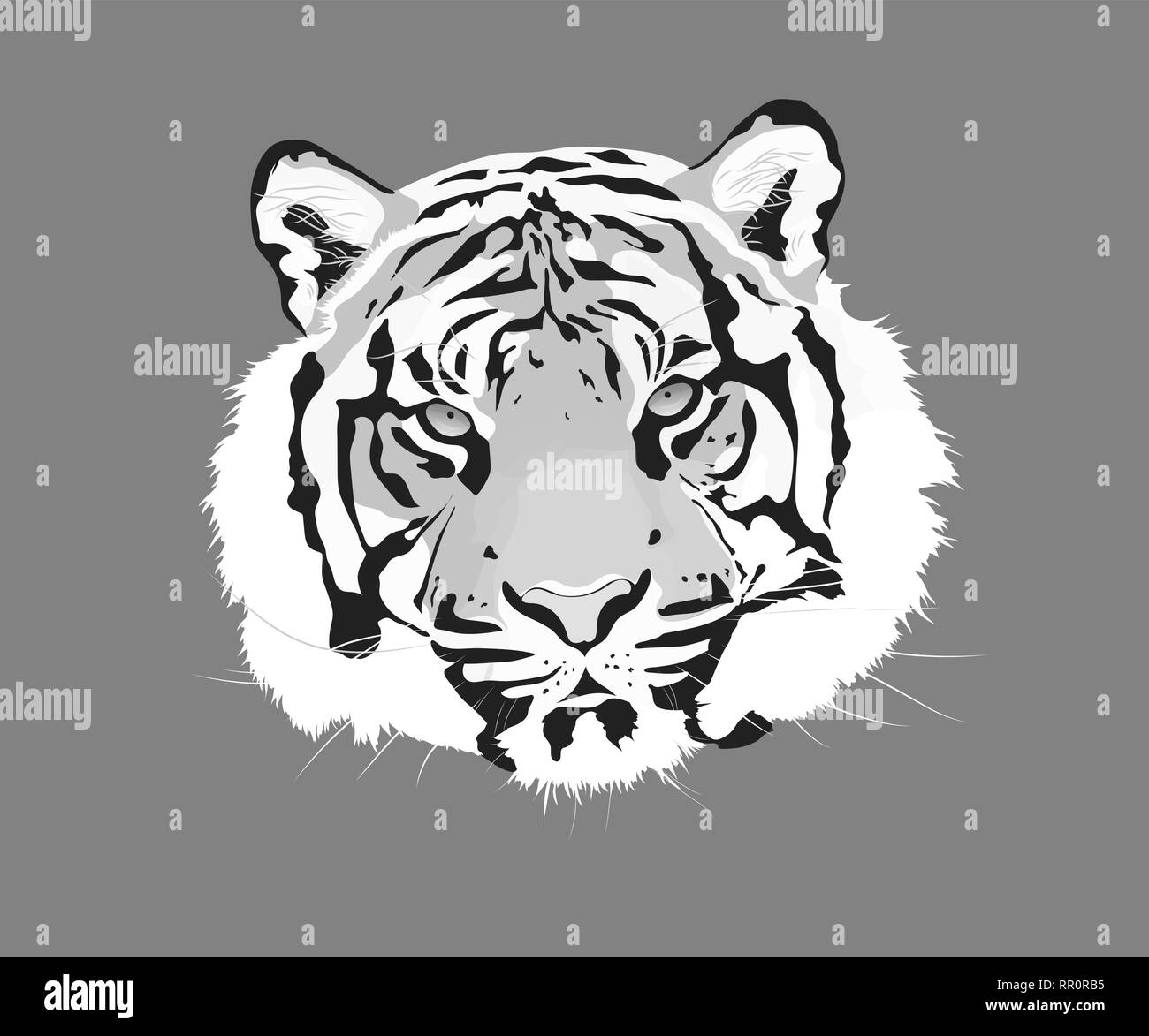 La tigre di illustrazione vettoriale. Testa di animale e la relativa icona. Illustrazione Vettoriale