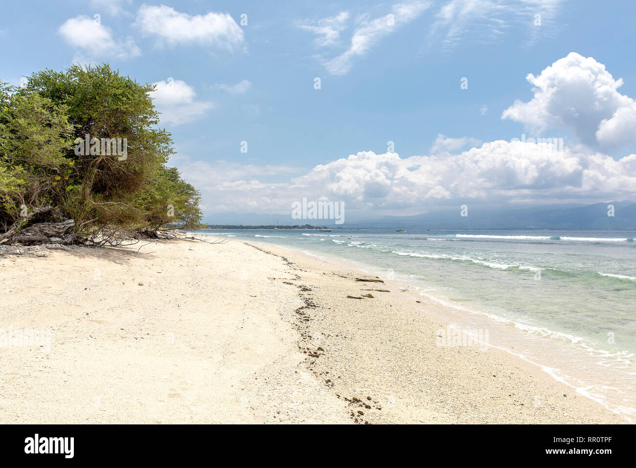 Alberi tropicali sulla costa di Gili Meno isola, Indonesia. Foto Stock