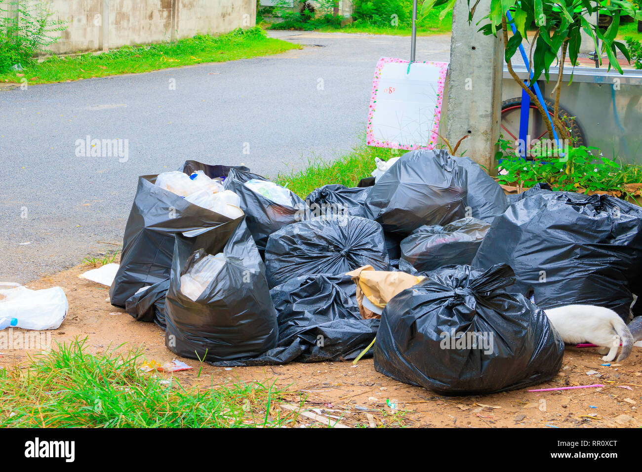 Pila garbage nero su strada e di gocce di pioggia sul sacco in città con lo spazio di copia consente di aggiungere del testo Foto Stock