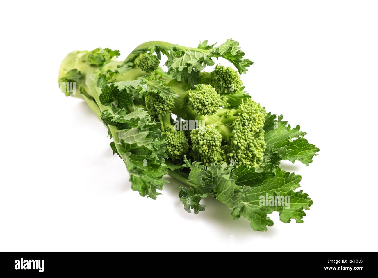 Rabini freschi o broccoli isolati su sfondo bianco Foto Stock