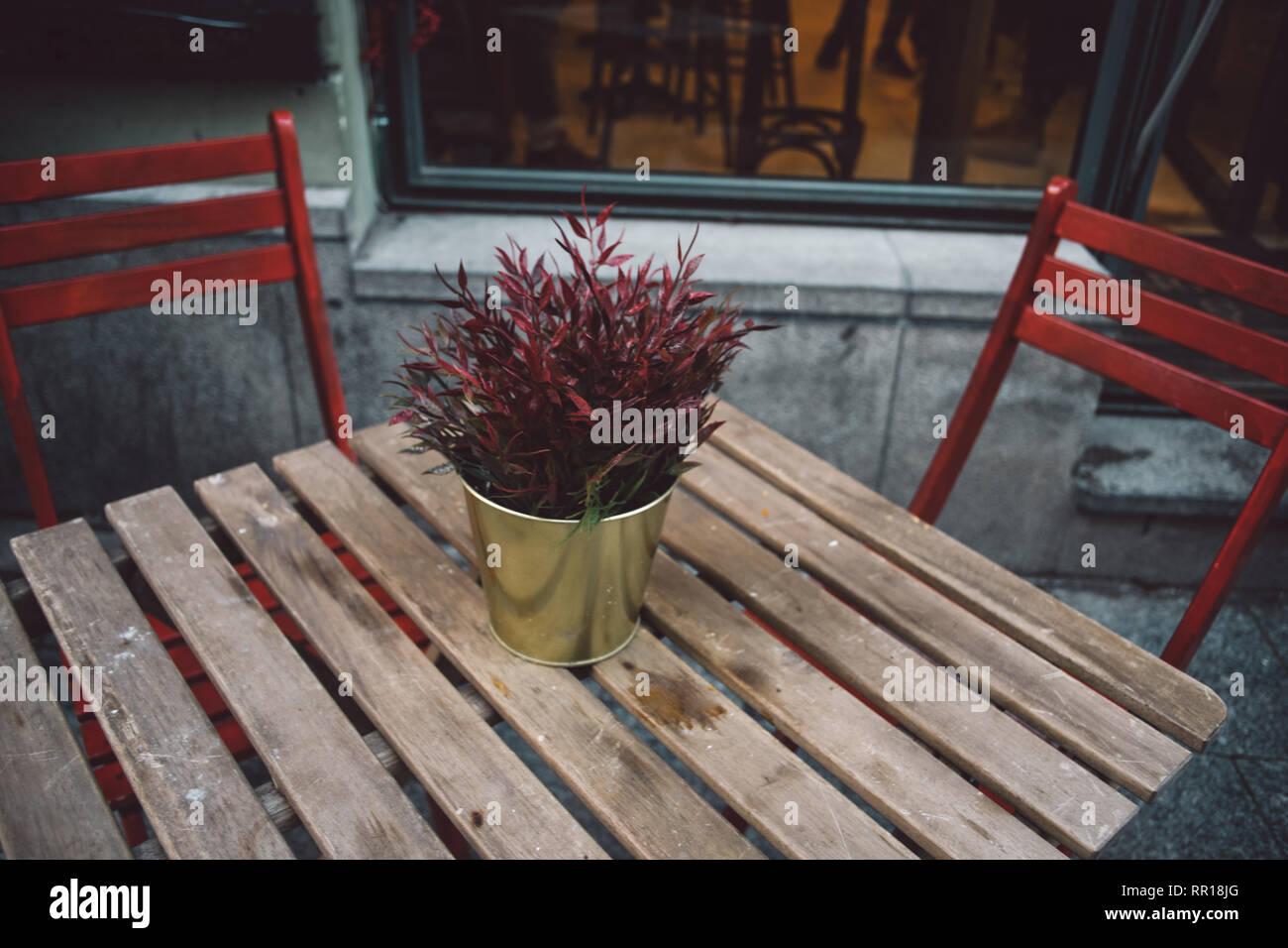 Impianto di rosso sul piatto come una parte della decorazione cafe sul tavolo di legno sfondo con sedie rosse Foto Stock