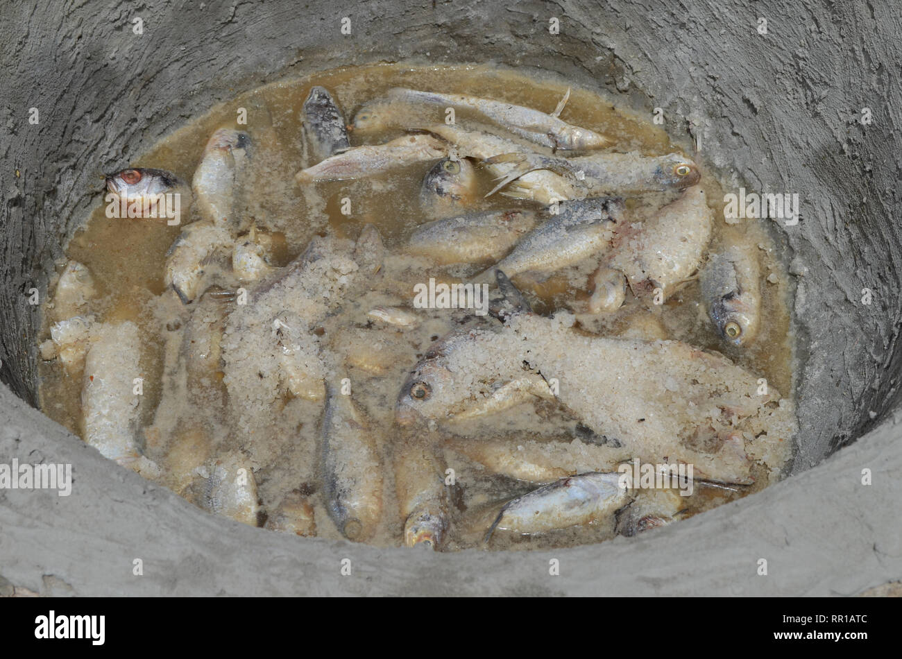 Zone di trasformazione per la produzione tradizionale di sole-essiccati, brasati e salate alacce (Kejax pesce essiccati) nei pressi di Mbour, Senegal Foto Stock