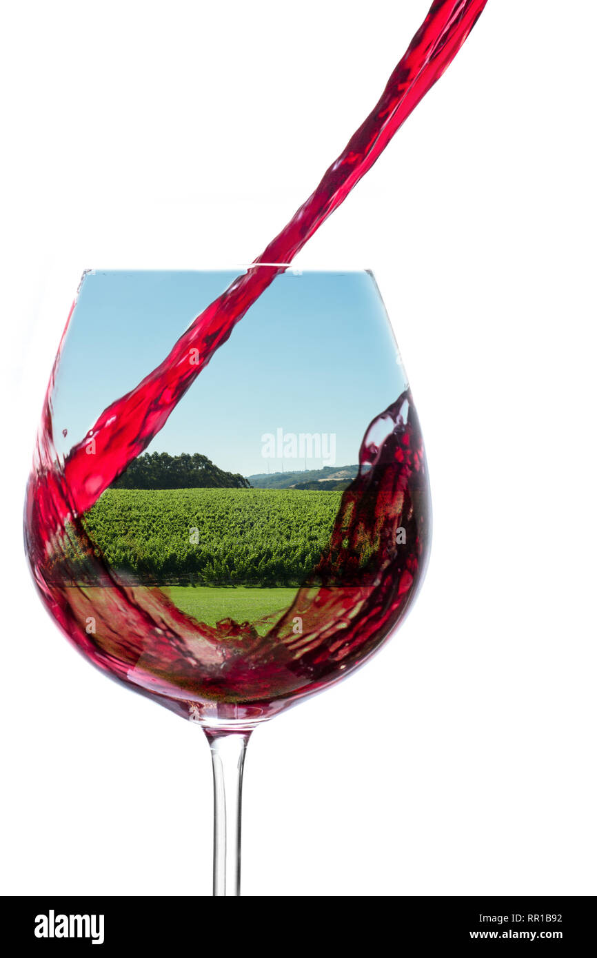 Versando il vino in vetro con immagine della vigna Foto Stock
