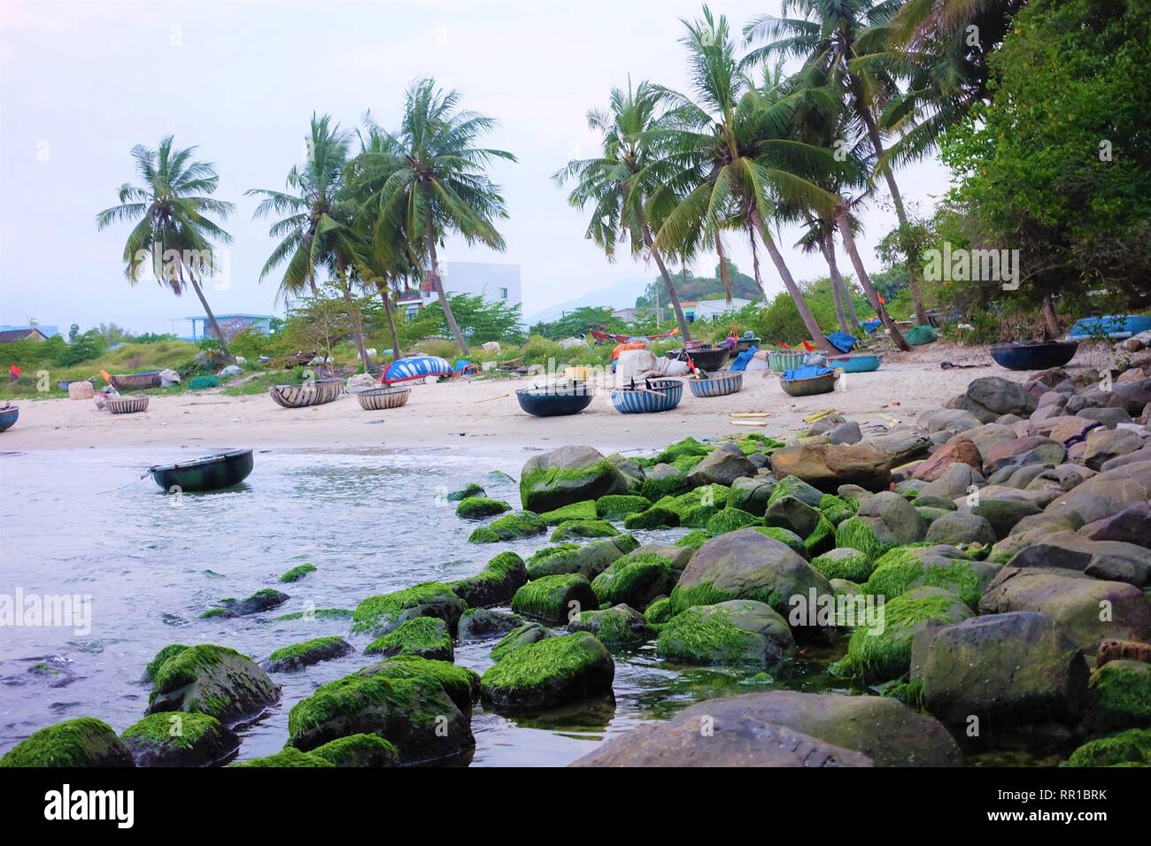 Moss stagione in Danang city le rocce sono coperte da verdi Foto Stock