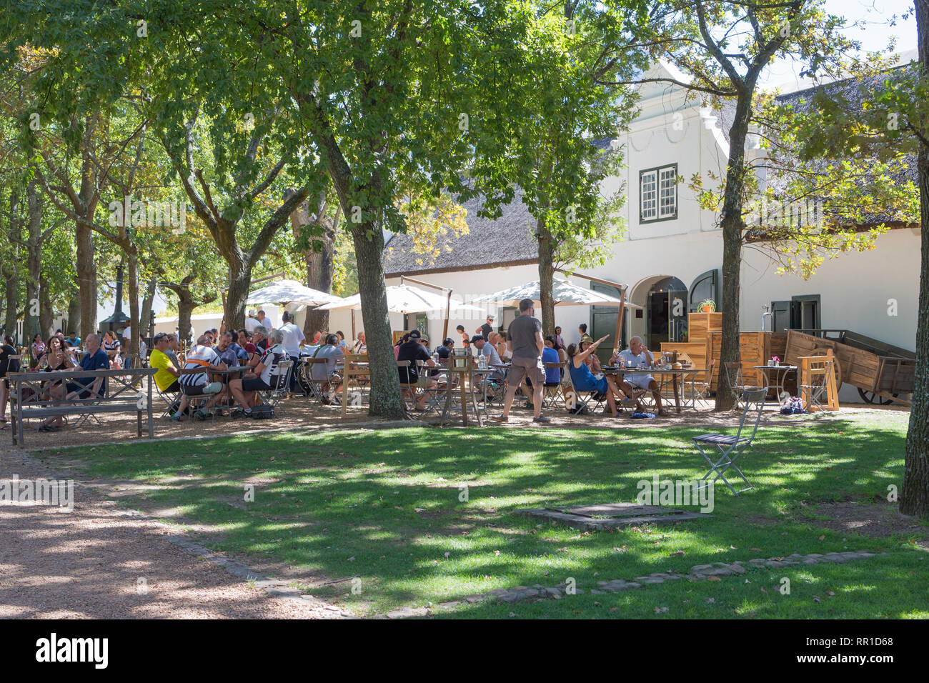 Persone o commensali seduti fuori a pranzo sotto le querce in ombra gustando un pasto presso il Deli al vino Boschendal estate, Cape Winelands Foto Stock
