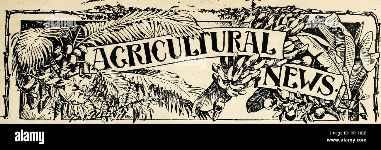 . Notizie agricoli. Agricoltura -- West Indies; le malattie delle piante -- West Indies. Una revisione Fortnightly di imperiale del dipartimento dell'agricoltura per la WEST INDIES. Vol. III. No. 51. BARBADOS, Marzo 26, 1904. Pkice Id. Contenuto. Agricola.Slidws ... Montserriit San Vincenzo Arbor D;iy BarbaiUi.s Fisli-curiny pagina in fabbrica. ... 97 ... 107 ... 107 ... 99 ... 104 Pagina castagne Italiano 109 Giamaica frutta Industria... 100 Kola dadi 102 amido di manioca in Giamaica 105 alberi di agrumi, concimazione... 100 gli stocchi mais per fieno ... 102 cotone :- Britisli Honduras ... 104 Il trasporto di merci sulle note di 101 101 Citazioni per 10 Foto Stock