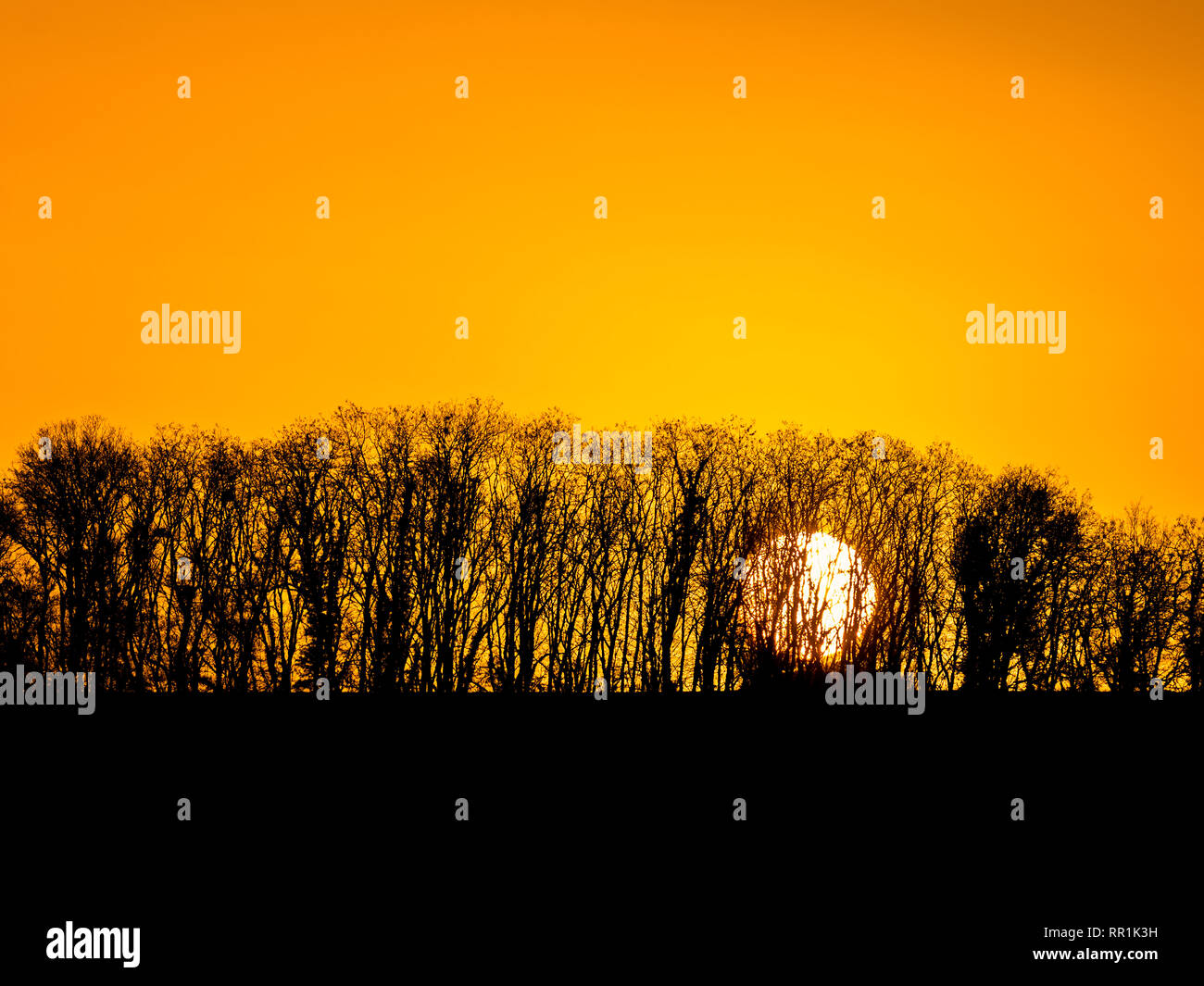 Sunrise e sagome, Francia. Foto Stock