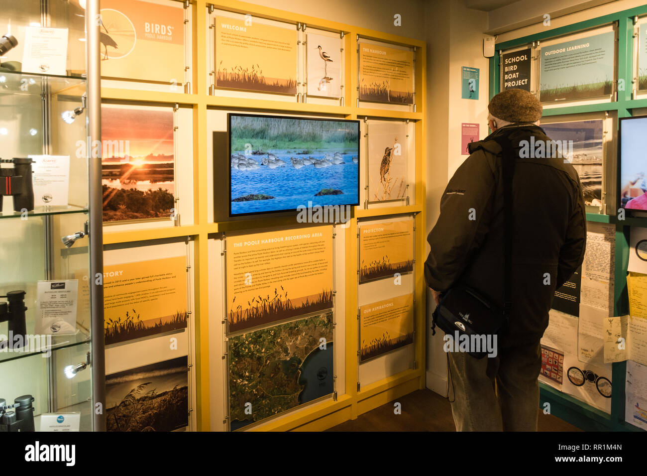 All'interno gli uccelli del porto di Poole HQ o centro visitatori con esposizioni interattive sul lungomare di Poole nel Dorset, Regno Unito. Foto Stock All'interno gli uccelli del porto di Poole HQ o centro visitatori con esposizioni interattive sul lungomare di Poole nel Dorset, Regno Unito. Foto Stock