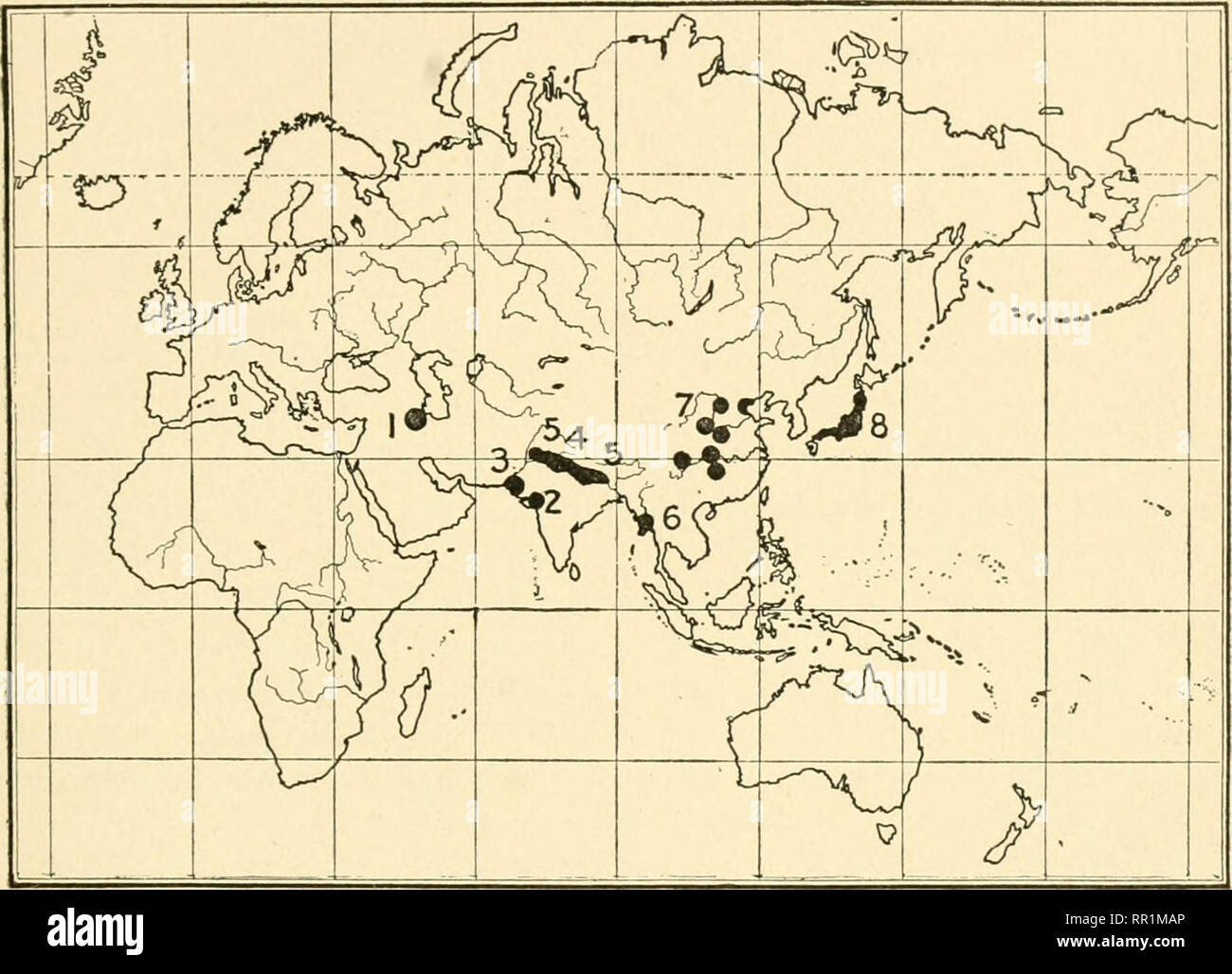 . L'età dei mammiferi in Europa, Asia e Nord America. Mammiferi fossili; Paleontologia. Il Pliocene di Europa, Asia e Nord America 323 in due località jields Stegodon denti molto simile a S. ganesa e S. insignis; troviamo anche qui Elephas, ippopotamo, SUS e Bos. Ancora più importante è il Pithecanthropus erectus scoperto da Dubois nel 1894, con la sua affinità ha deciso per la linea di ascendenza umana. 1. La vita di Asia Meridionale questa vita è rivelata nel meravigliosamente ricchi giacimenti ampiamente knowTi come 'Siwaliks/ vaste inondazioni antica ])lain zone che si estendono per una distanza di quindici h Foto Stock