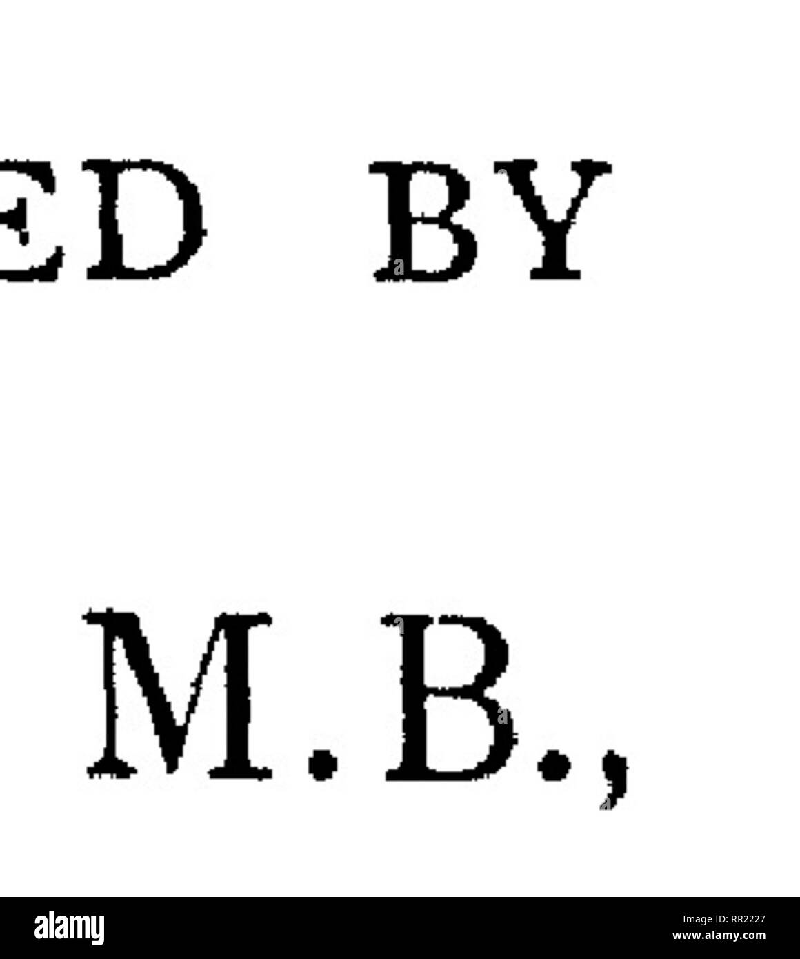 . La fauna hawaiiensis;. Zoologia. SonUon: C. J. ARGILLA E FIGLI, Cambridge University Press MAGAZZINO, AVE MARIA LANE. (Slaggobj: 263 Argyle Street.. Eetpjtg: F. A. BROCKHAUS. l^ehJ lotfe: LA MACMILLAN COMPANY. iSombaBt E. SEYMOUR HALE.. Si prega di notare che queste immagini vengono estratte dalla pagina sottoposta a scansione di immagini che possono essere state migliorate digitalmente per la leggibilità - Colorazione e aspetto di queste illustrazioni potrebbero non perfettamente assomigliano al lavoro originale. Sharp, David, 1840-1922. ed; Royal Society (Gran Bretagna); Associazione britannica per il progresso della scienza; Bernice Pauahi Bishop Museum. Ca Foto Stock