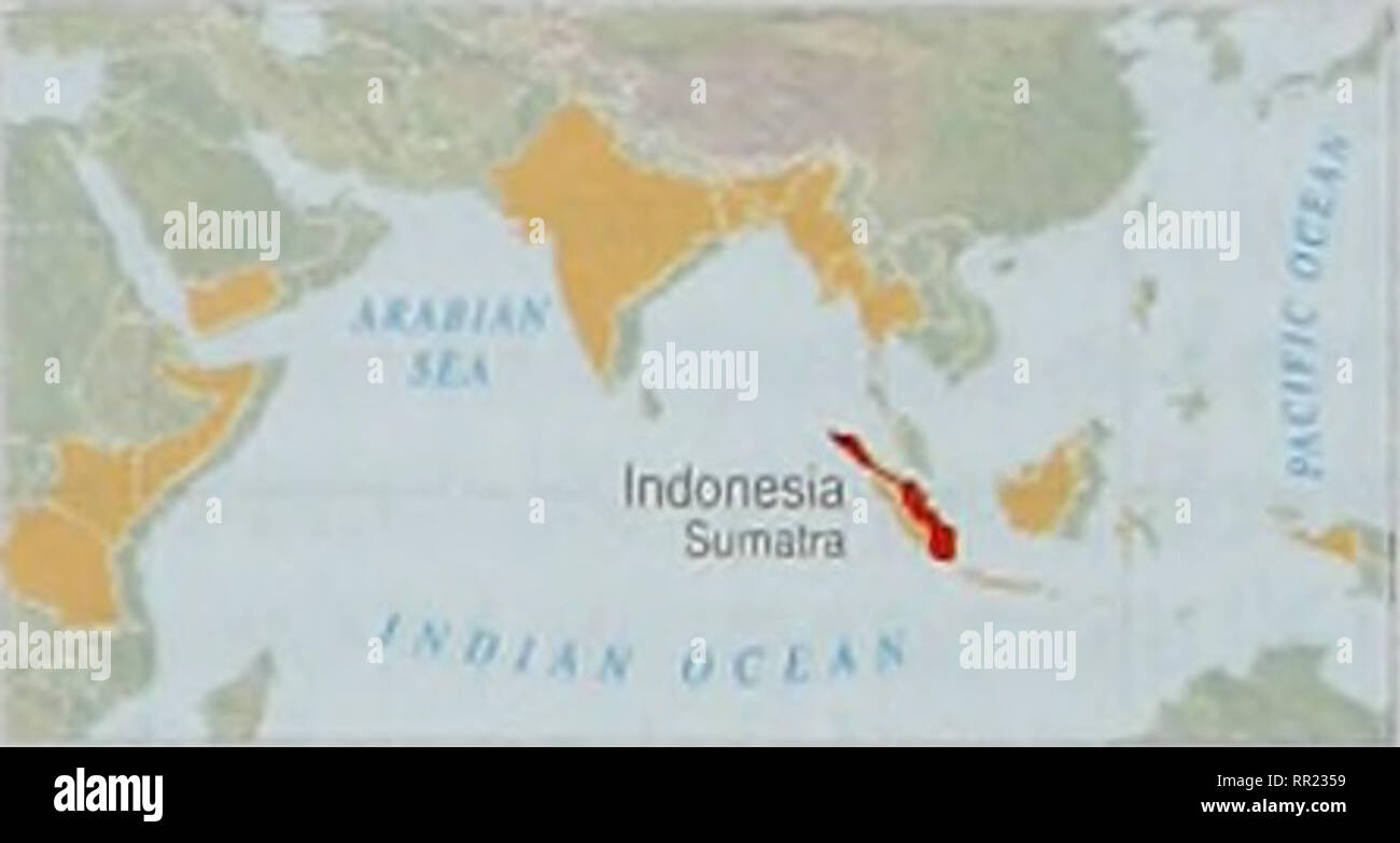 . Dopo lo tsunami: la rapida valutazione ambientale. . ^&GT;3' flIAU BARAT ^ 5 ?IBBfc ? SPMAT6RA , .1, Bergkulu ^ ^- ." "Bandar ^; ^ ^mpuncT Fonte: H-J.Slibig. R.Upik. R Beuchle, Hildanus. S.Mubareka. 2003. Le mappe di copertura del suolo lor in Asia Del sud-est nel 2000, banca dati GLC2000. Commissione europea Centro comune di ricerca NIMA VMap Level 0. Onu Secbon Cartograptiic. ESRI Arcworld, lUCN foreste incontaminate in Sumatra ^^^ parte Naiional prelected area gestita principalmente per Bcosysiam proieclion e recrealion ^. 1 Habilat/specie Area gestione area protetta gestita principalmente lor conservazione througfi uomo Foto Stock