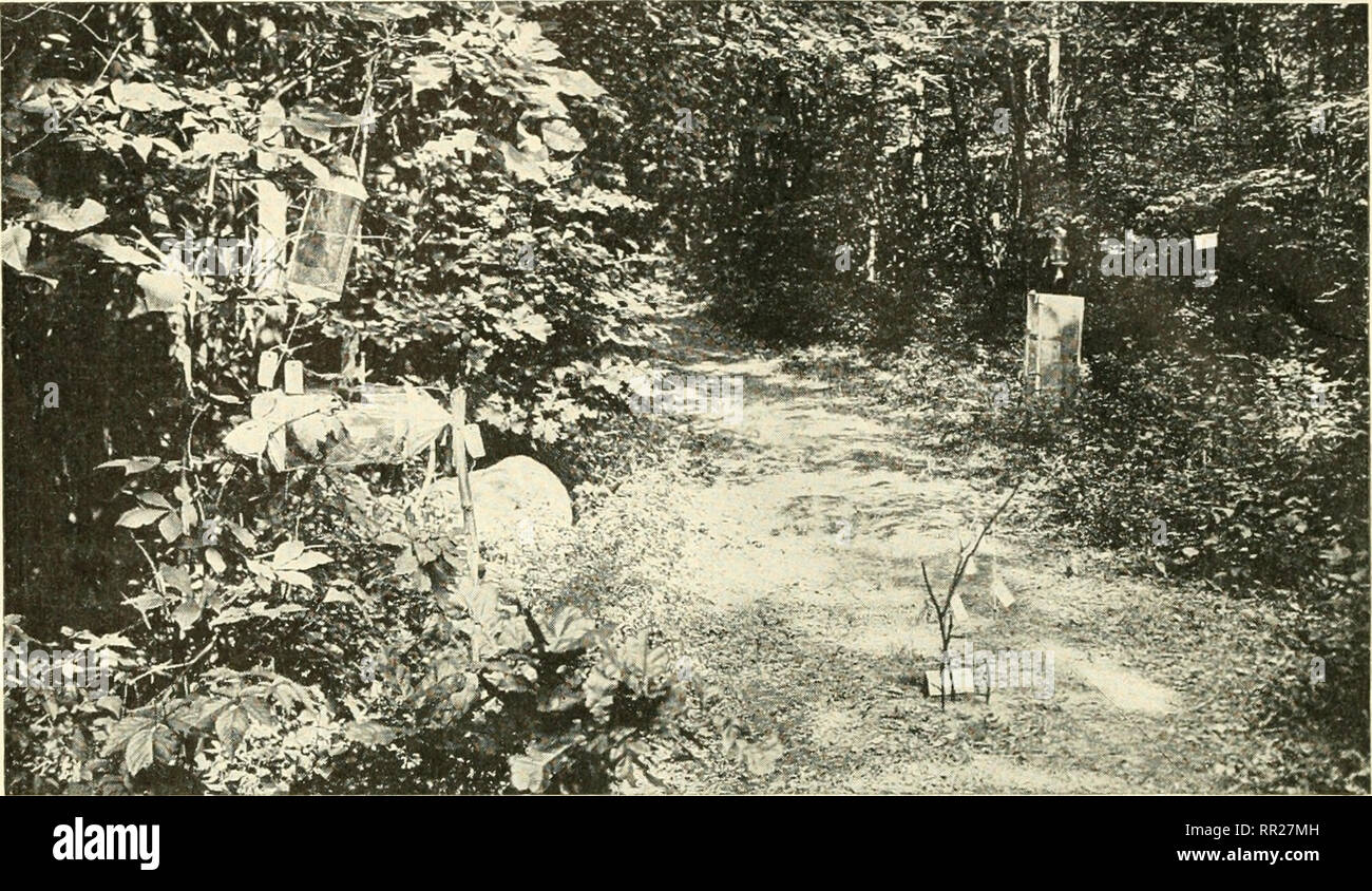 . Avventure con gli animali e le piante. Biologia. 8 biologi studio gli animali e Planzs. Fig. 6 Un museo a cielo aperto, parte del sentiero natura a Tuxedo, New York. Si potrebbe creare un semplice sentiero natura? Ciò oltre a nomi potrebbero essere fornite su diversi tag che vedete? (Il Museo Americano di storia naturale), il francese in modo che è possibile leggerle. Altro soggiorno-at-home gli osservatori possono studiare gli uccelli, o serpenti o altri animali. Tale studio può soddisfare un amore di fuori di porte e aggiungere al negozio di bio- logica della conoscenza. Esplorazione del cortile per voi. Dotato di un tampone e una matita, anche voi potete iniziare su una Foto Stock