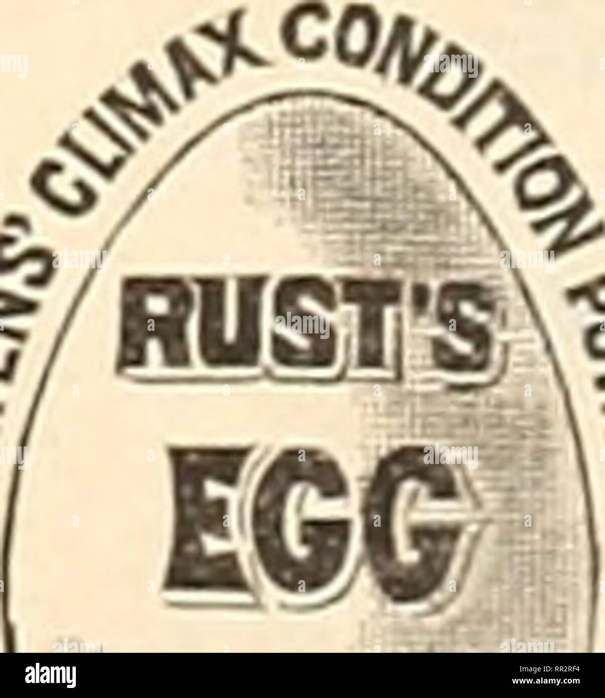 . A.D. Perry &AMP; Co. i venti-primo seme annuale catalogo per 1892 : le sementi, hardware implementa, scaricare la piastrella, &amp;c.. Vivai (orticoltura) cataloghi; fiori Semi cataloghi; semi di ortaggi cataloghi; Agricoltura semi cataloghi; attrezzi agricoli cataloghi. Prima dell'uso. Dopo l'utilizzo. FOWL-colera ROUP WORM IN CAVALLI HEAVES TACCHINI un pacchetto di paradisi' Climax condizione salvata in polvere forme un gregge di Wyandotte pulcini vale la pena di venticinque dollari. L. C. WILLIAMS, postmaster, Middlesex, Yates Co., N. Y., e membro del Consiglio dei Supervisori di Yates Co. Ho perso oltre un centinaio di dollari Foto Stock