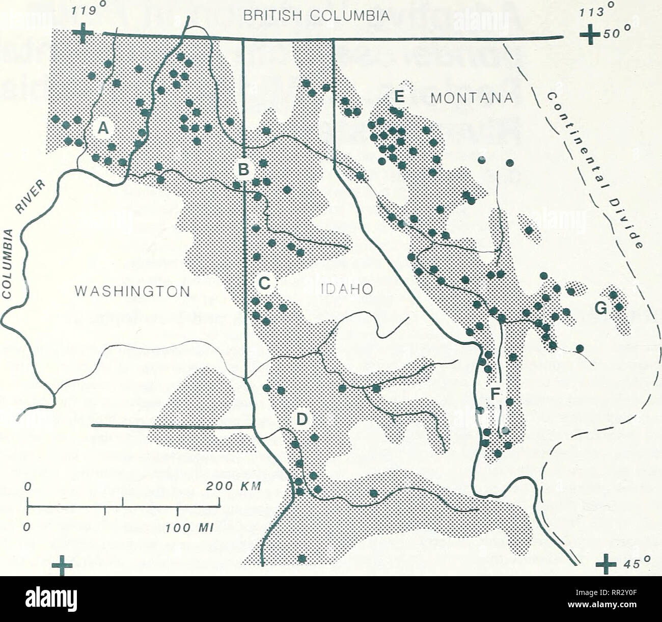 . Variazione adattativa in Pinus ponderosa da regioni Intermountain. II, Medio Columbia River sistema. Ponderosa Pine. Figura 1 - Distribuzione geografica della Ponderosa Pine (siiading) entro i principali drenaggi del medio Columbia River la posizione e il sistema di campionamento di popolazioni. Le lettere da A a G individuare la vista dines presentato nella figura 2. 5. Siccità di mortalità, la proporzione di alberi all'interno di ogni trama che è morto da siccità sotto condizioni xeriche. Analisi della varianza sono state eseguite su ciascuna variabile secondo un modello in cui gli effetti delle popolazioni e i siti di piantumazione, e blocchi withi Foto Stock