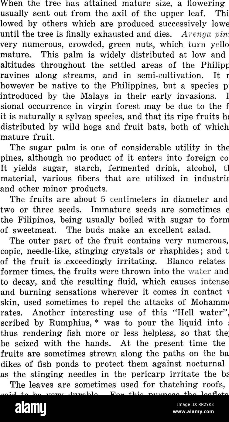 . Bollettino. Le foreste e la silvicoltura. Descrizione delle specie 29. Piastra VIII. Frutti di ARENGA PINNATA (Sugar Palm).. Si prega di notare che queste immagini vengono estratte dalla pagina sottoposta a scansione di immagini che possono essere state migliorate digitalmente per la leggibilità - Colorazione e aspetto di queste illustrazioni potrebbero non perfettamente assomigliano al lavoro originale. Filippine. Ufficio di presidenza della silvicoltura. Manila, l' Ufficio di presidenza della stampa Foto Stock