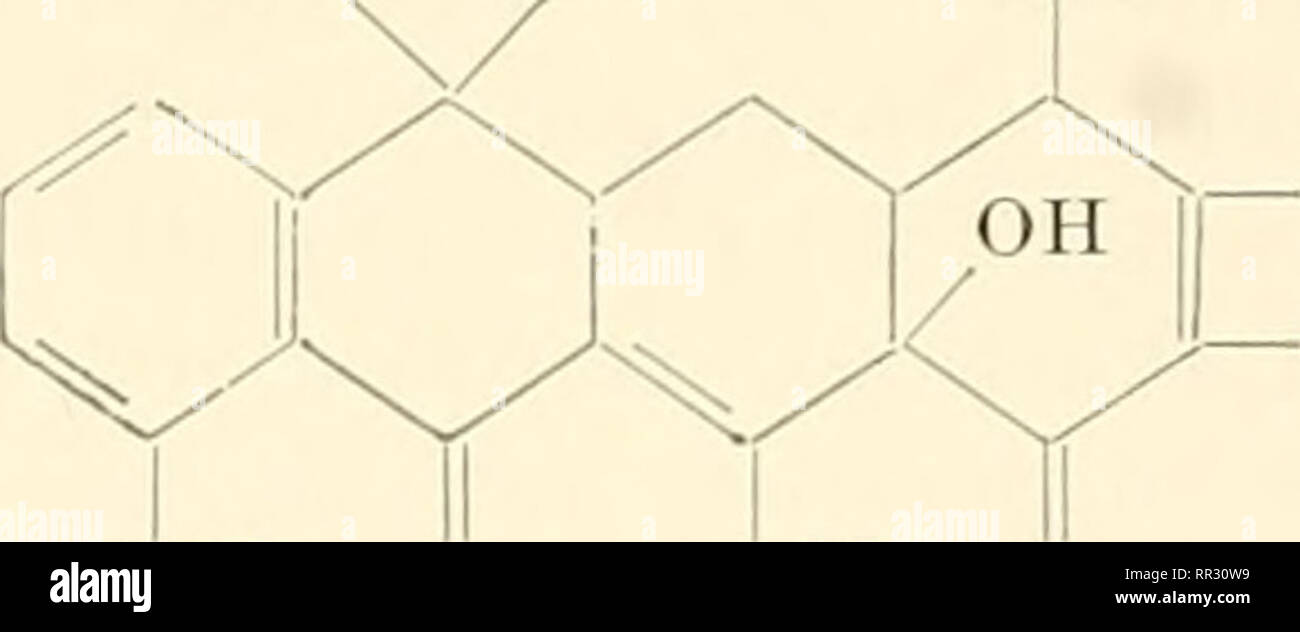 . Il actinomiceti. Actinomycetales. 890 1 )J-]SCK HO FT IO( )XS DI ANTIBIOTICI la sospensione acquosa del precipitato viene acidificata a pH 1 a 4 e di NaCl e si aggiunge butanolo. Raffreddamento dà cristalli di cloridrato (33). IV. Si precipita dal brodo-filtrato a pH 8,5 a 9,5 per aggiunta di CaS04 , BaCh , o MgCh . Estratto in acqua a pH 1,5 e filtrata. Filtrato aggiustato a pH 8.0. Questo insolubile polivalente di ione metallico sale può essere impastato con butanolo o acetone a pH 2.0, filtrata e il precipitato dal solvente organico mediante aggiunta di acqua e portando il pH a 4,2 (40). V. precipitato da acidifie Foto Stock