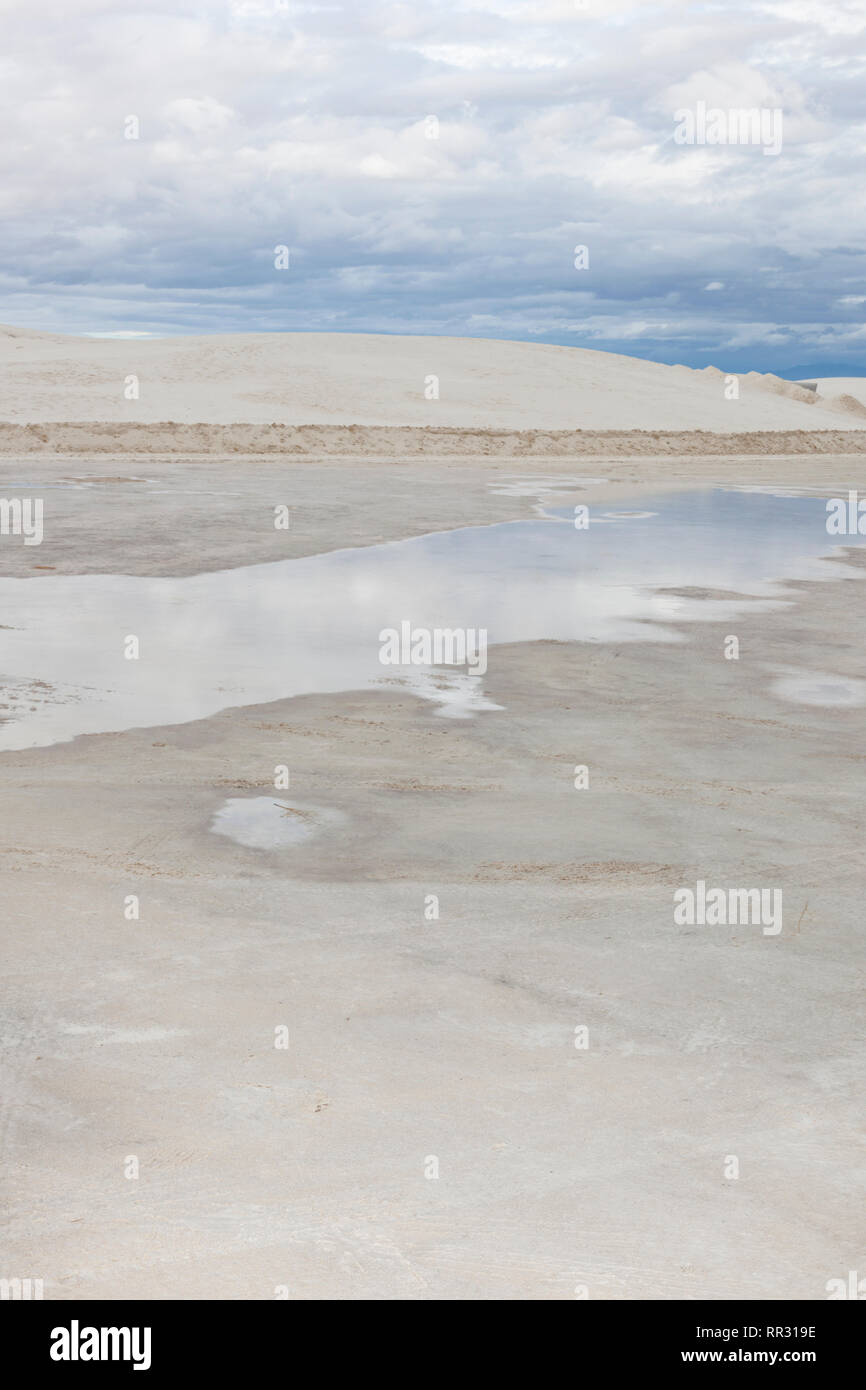 La pioggia si erge nelle pozze a White Sands National Monument Foto Stock