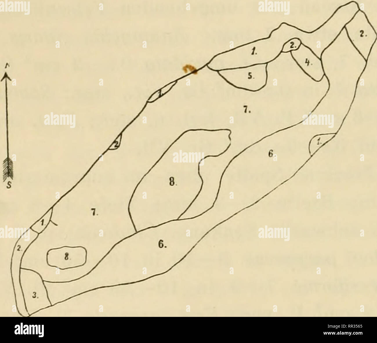 . Acta Soc. pro Fauna et Flora Fennica. Storia naturale. 116 Hdyren, vegetazione Flora und der Meeresfelsen von Tvarminne. 8, Festuca arenaria 7, Lythrum 7 in 1 dm^ Gr. ver.; ferner in der Nahe der einen Wasseransammlung Agrostis alba 7 in 0,5 dm^ Gr. ver. und giugno. Gerardi 7 in 1 cm^ Gr. ver. 9. Felsenspalte. Ostspiken. Am 13.-15. Juli 1907. Trockne Spalte im Giirtel supramarinen. Breite 3-5 mm; Lange etwa 12 dm. Die Spalte liegt in einer etwa 4 dm breiten Mulde mit nach der Spalte zu schwach geneigten Flachen. Am hochsten liegt der Felsen im NW der Mulde; im S der Ausbuchtung von N:o 6 liegt Foto Stock