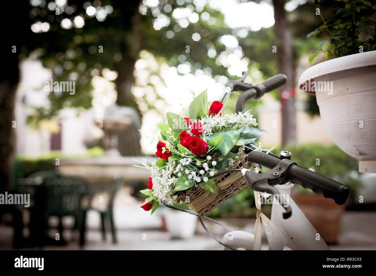 Mazzo di rose rosse e fiori bianchi nel cestello in bicicletta vintage romantico giardino classico, il fuoco selettivo Foto Stock