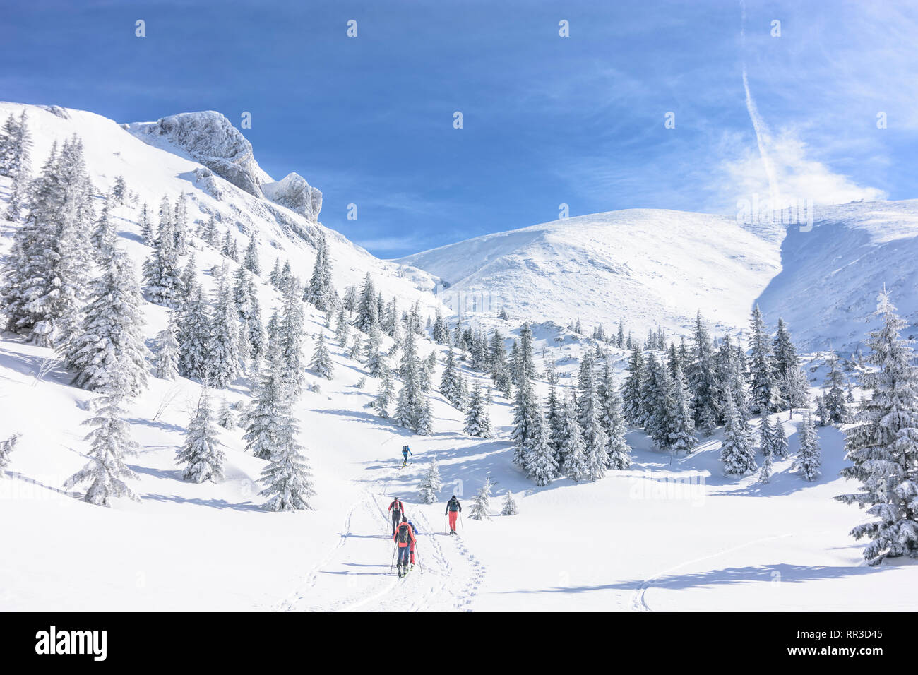 Puchberg am Schneeberg: montagna Schneeberg faccia Ovest, rift Wurzengraben, tour di sci tourer, coperta di neve abete rosso, conifere a Wiener Alpen, Alpi Niederö Foto Stock