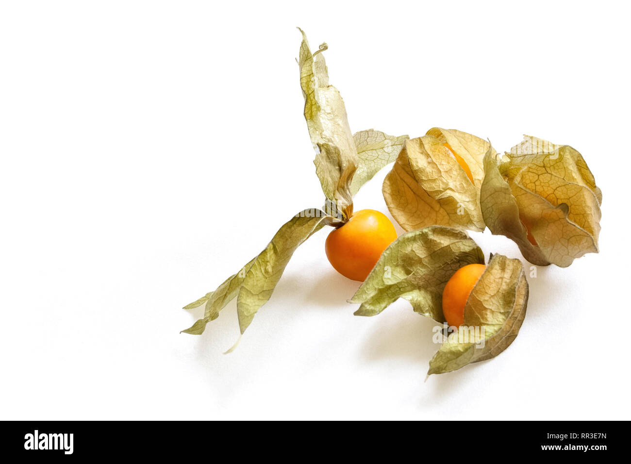 Immagine di frutta esotica di bacche messicano Physalis su uno sfondo bianco. Foto Stock