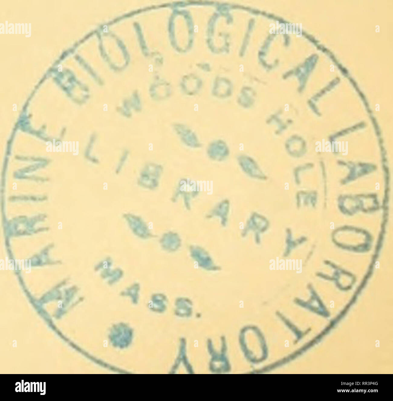 . Acta Societatis Scientiarum Fennicae. La scienza. lian Namcs personali. i6i 2. ''AK-MU-è-ku?i,YiAB.yj?,, -1. oç,,i.''iinir Upri, HABL 627, 7. s. Di Sillä, 81-2-4, 78. 3. -TA-MU-GAR, HABL 428, 2. JADD 925,7. "A.B A, B. C. 670, JADD 625, R. ,s. iar Bäbili: N.si.: VS IO, 36, IV la (8'" anno). s. oi Arkät-IH-damqa, Tu po'^Sji-ti-ti.WÅ:. VS IO, 36, IV 1. s. oiAsur, Tu po' ''Nabu, NSI.: VS IO, 36, III ,7. f. di Muse-2ib-Nabr,, JADD 869, IV, 7. 4. '. Re di Babilonia Dinastia (H), Nabu- s h u m i s h k u n i, sar """"Kardunias combattuta con Adad-nirari (III), circ. B. C. 895, siic- ceed Foto Stock