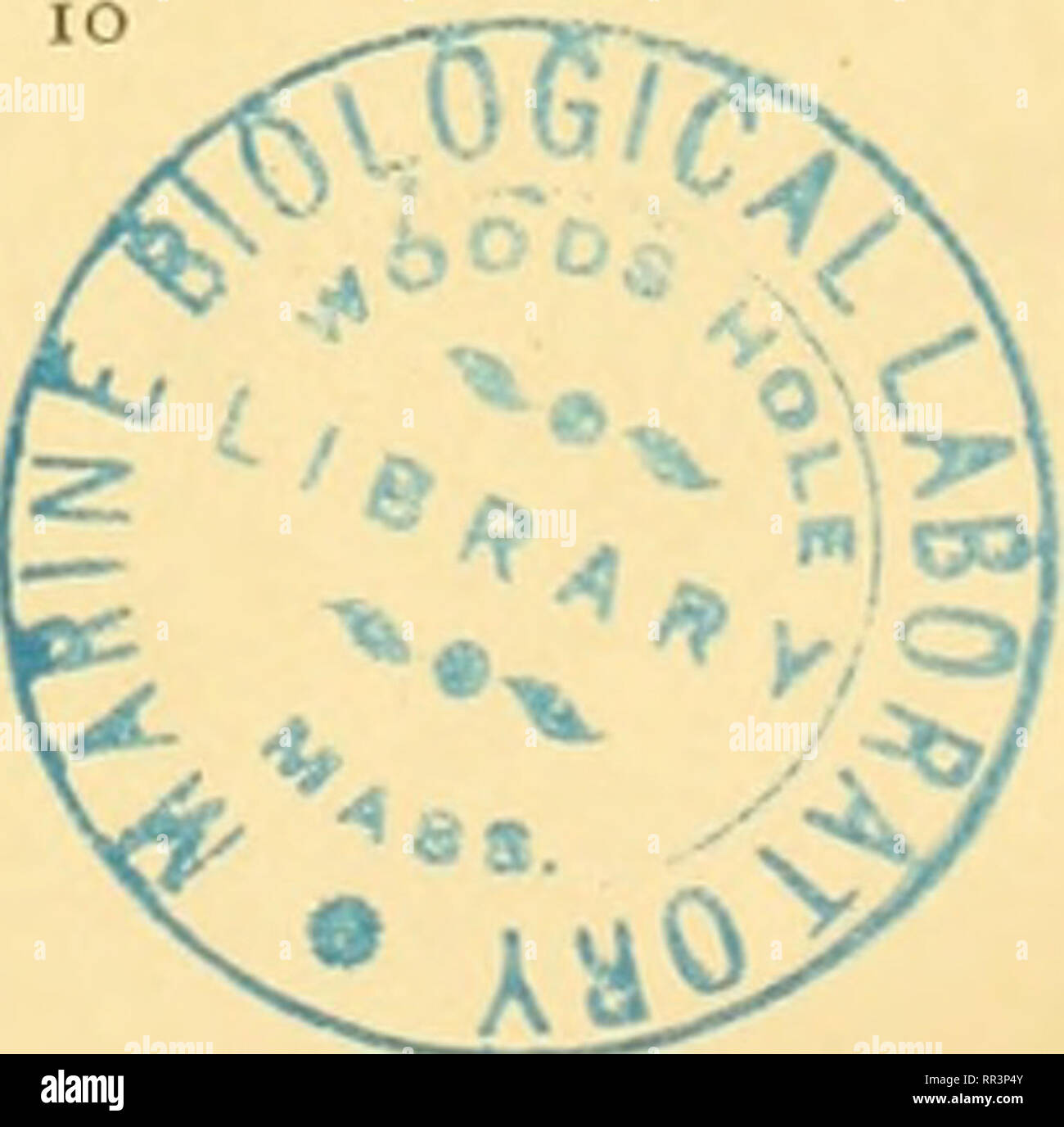 . Acta Societatis Scientiarum Fennicae. La scienza. Assira nomi personali 73 Ea-zër-iqisa "Ea lias presentato seme" (Ba) 1. -"Ji-a-KUL-BA-^a di Bit-Amukkânu, HABL 517, 7. K. 4515. niâr Nam-[R], Simb.: Laici. 53, 7 (RE, BBS, pi. 20). 2. -"Ê-a-KUL-ki-ia, HABL 896, 1. E-bi..., JADD 926, 4. Cfr. E-bi, TA 333, •-•. E-bi-ib-ana-Nabû', esegue il rendering di LAH.LAH-KU-'<AK, V R 44,4,.d. E-bi-si, ''iimkïl [apati], JADD 480, R. 4. E-bi-somma, vedere un-bi-si. E-da-ga-ma, vedere Etaqama. E-da-si io^cfr Un-da-st), JADD 478, R. s. E-du-sal-lim (abbrev.), JADD Ji, 1, 4. 74, 1, :?., s, B. E. 2 (B. C. 680). E-du-usur (a Foto Stock