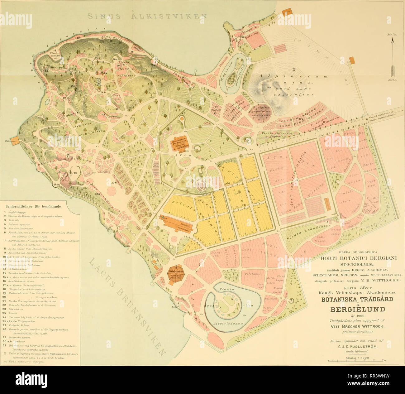 . Acta horti bergiani : Meddelanden från Kongl. Svenska Vetenskaps-Akademiens Trädgård Bergielund. La botanica. Ada Horti Bpr-^iani Band HI K"^ :H. GENER"ST*BQtS LnöOHATSKA A. Si prega di notare che queste immagini vengono estratte dalla pagina sottoposta a scansione di immagini che possono essere state migliorate digitalmente per la leggibilità - Colorazione e aspetto di queste illustrazioni potrebbero non perfettamente assomigliano al lavoro originale. Bergianska stiftelsen; Kungl. Svenska vetenskapsakademien. Trädgård Bergielund. Stoccolma : Bergianska Stiftelsen Foto Stock