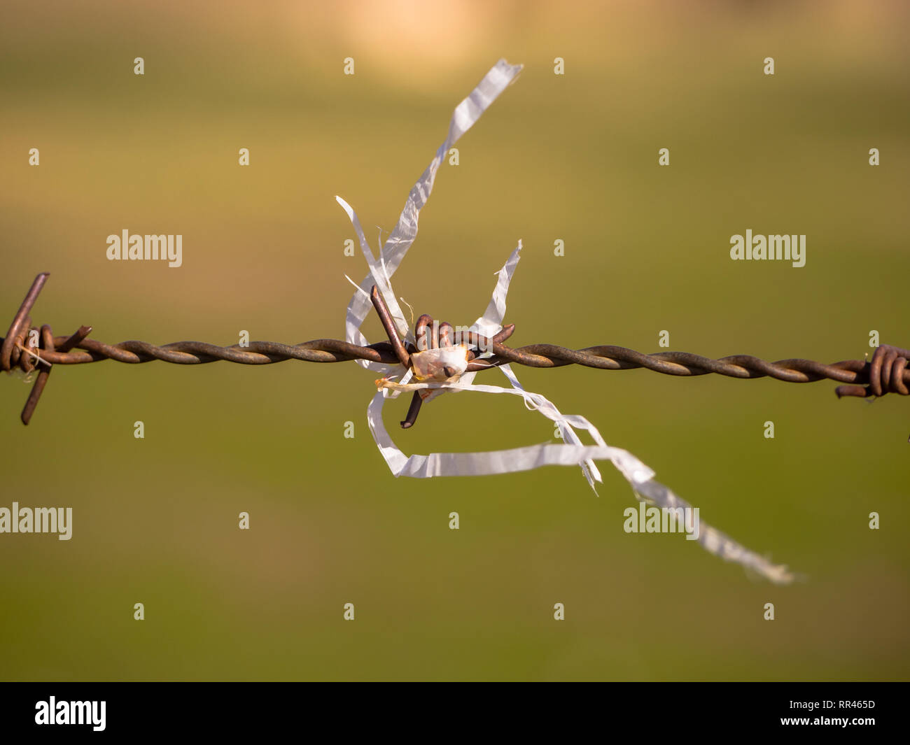 Sfondo astratto di un pezzo di plastica su un arrugginito filo spinato Foto Stock