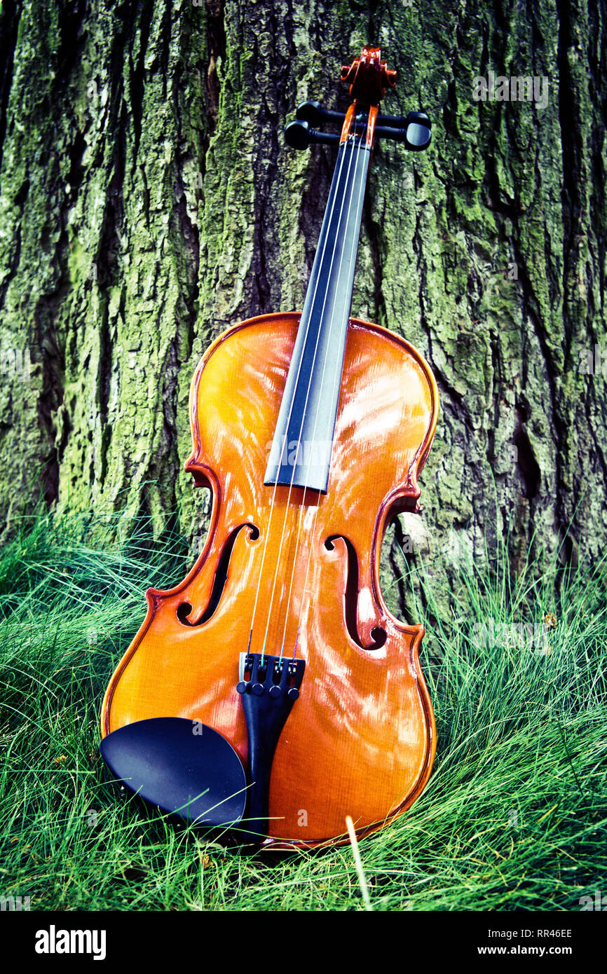 Violino classico abbandonato contro un albero Foto Stock
