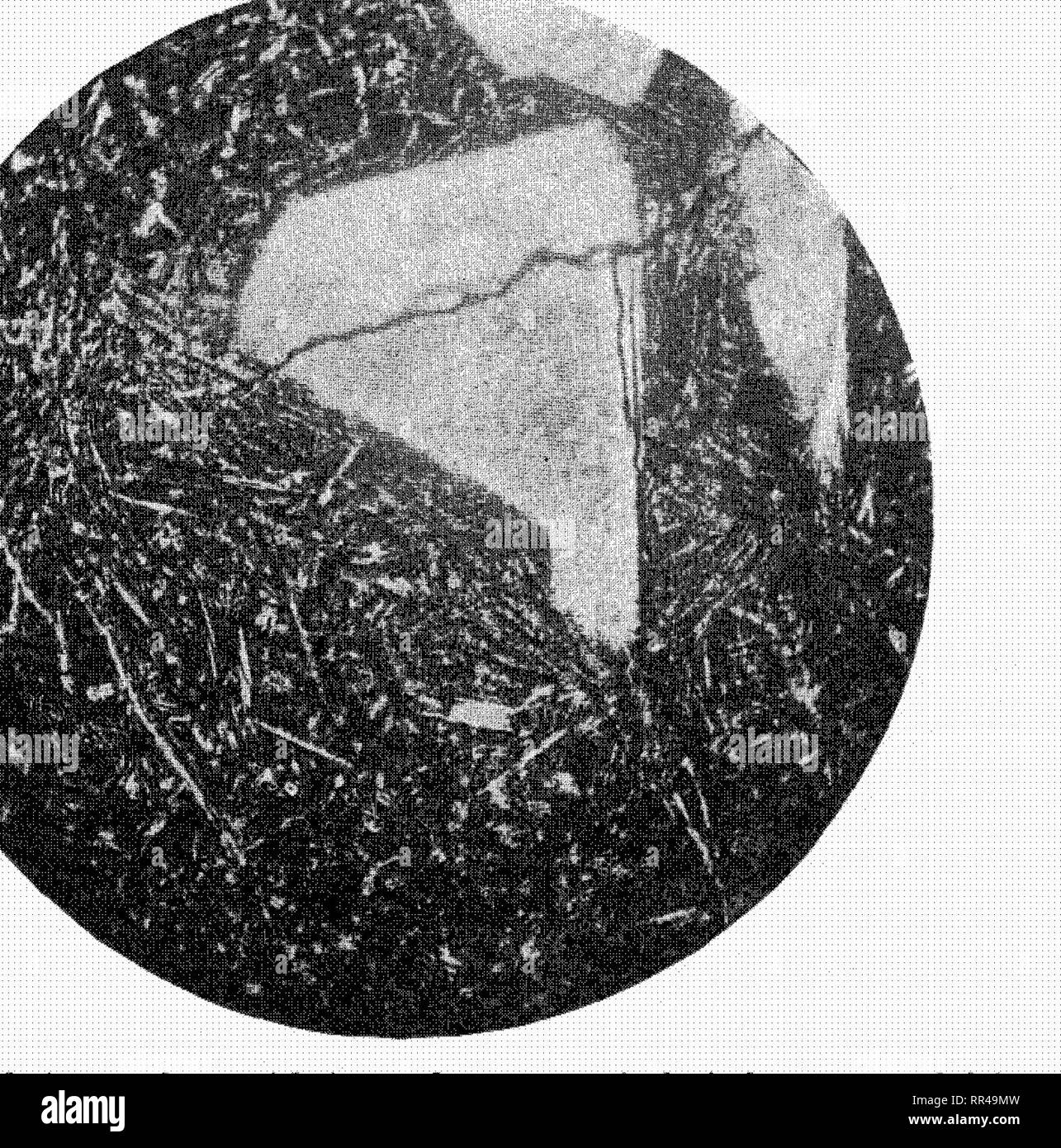 . Indagine scientifica di Porto Rico e le Isole Vergini. Spedizioni scientifiche. iH) ^•r7L-;.V77,/••/(? .V7 7.'L HV DI I'Ofri"O h'll'O liilc ;i larui&GT; |M'r"-..iitjino ..f tiic ciifirt. iiniss ..r i ruck. Un paio di tiir muit stnkiii.u- Du-inlHTs i.r questa n-rniip hit ln'iTwitli hrii'tly (LFS,-rilM'&lt;L Ar 1 io: su tlic roinerio strada ii purphvritii- hurnldcjHic rtiuli'sui' è stato louml. Sih- ondiiry altcrntHHi lind .a-n-ativ rlisuiu^pd il nrigiiial (-(Hisiitm'nt^ del ru.-k. 1'li(. ori.umal uiitliiK's ul' tlif IioriiLleiid.' phcnccrysts Uv cuidd vU'twly si'i'ii. rhoii-li liiu horiihlciidc ho Foto Stock