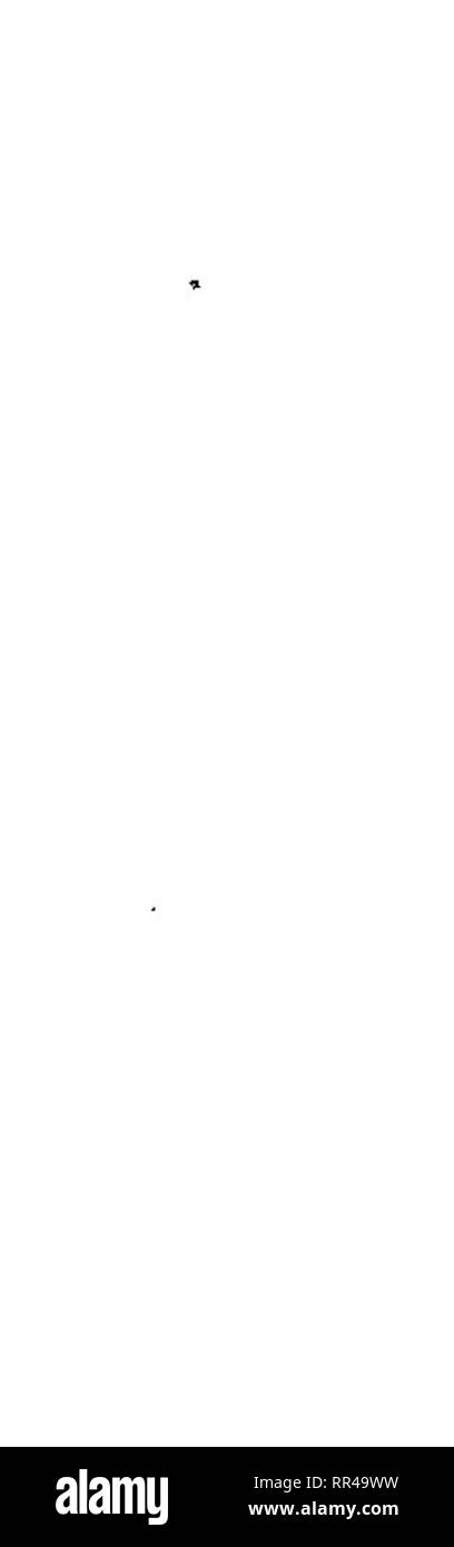 . Relazione annuale del direttore della silvicoltura. Le foreste e la silvicoltura. ^7 ??" ?HMM - S è -g iA ff &LT;0 ^ tt: s £ w BO •o s § ^ " $^ 3 '" QC ho£ o u. •2 è 1 1 I E • un^ a. J3 u^ lii z *"• CM en m ^ &LT;o. Si prega di notare che queste immagini vengono estratte dalla pagina sottoposta a scansione di immagini che possono essere state migliorate digitalmente per la leggibilità - Colorazione e aspetto di queste illustrazioni potrebbero non perfettamente assomigliano al lavoro originale. Filippine. Ufficio di presidenza della silvicoltura; realizzazione di America Progetto; Filippine. Ufficio di presidenza della silvicoltura. Relazione annuale del direttore della silvicoltura. Manila [ecc. ] Foto Stock