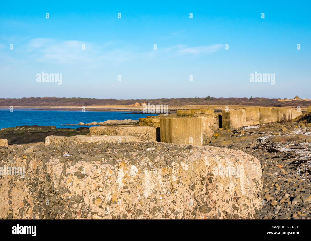 Reliquie della seconda Guerra Mondiale: Blocchi anticarro in cemento con ingresso alla Gosford Estate e alla Gosford House, Longniddry Bents, East Lothian, Scozia, Regno Unito Foto Stock