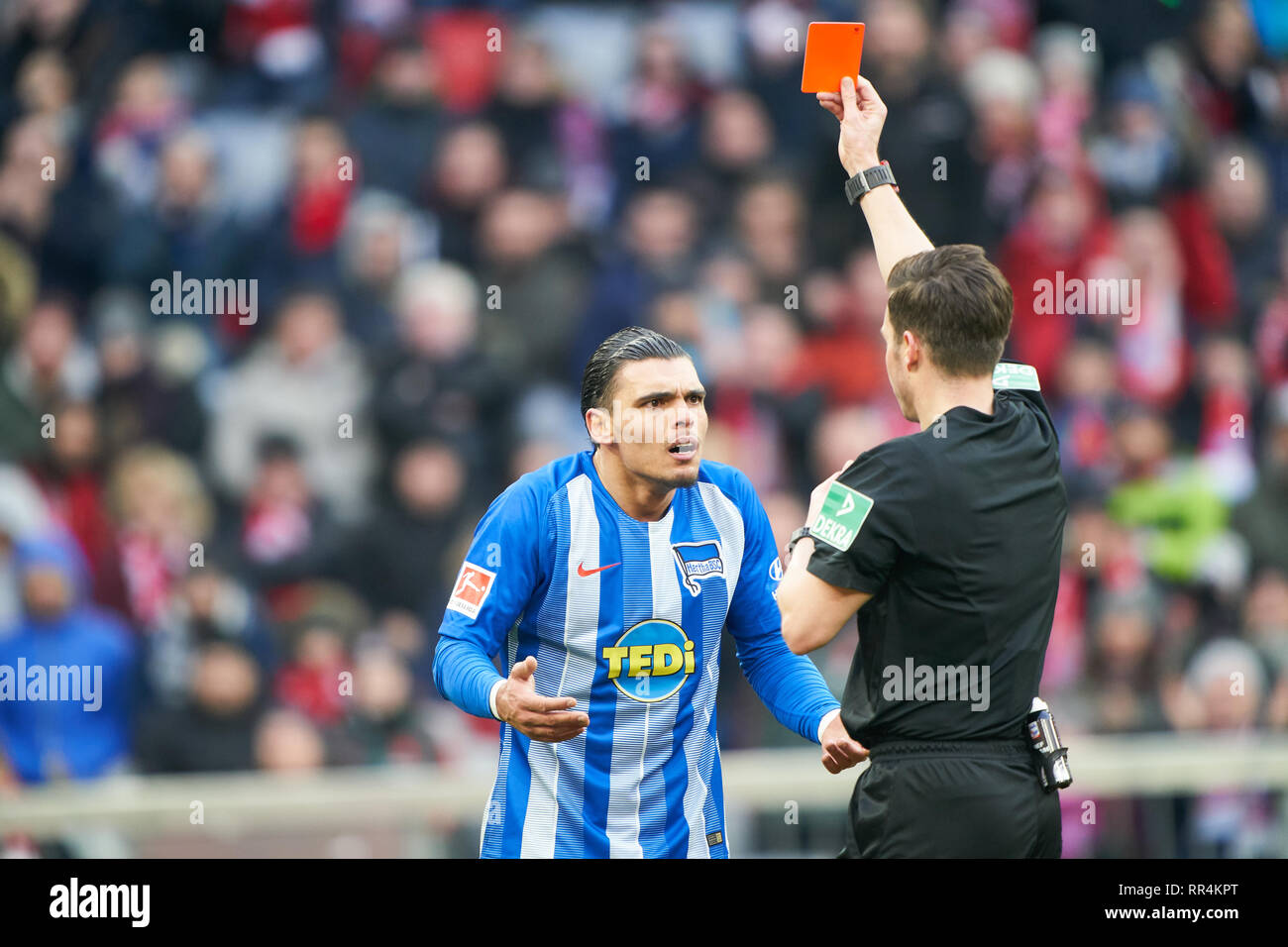 Monaco di Baviera, Germania. Il 23 febbraio, 2019. Arbitro danno OSMERS con fischietto, gesti, mostra, guardare l'azione individuale, mostra scheda rossa di Karim REKIK, Hertha 4 FC Bayern Monaco - Hertha BSC Berlino 1-0 - DFL REGOLAMENTI VIETANO QUALSIASI USO DI FOTOGRAFIE come sequenze di immagini e/o quasi-VIDEO - 1.della Lega calcio tedesca , Monaco di Baviera, febbraio 23, 2019 stagione 2018/2019, giornata 24, FCB, München, © Peter Schatz / Alamy Live News Foto Stock