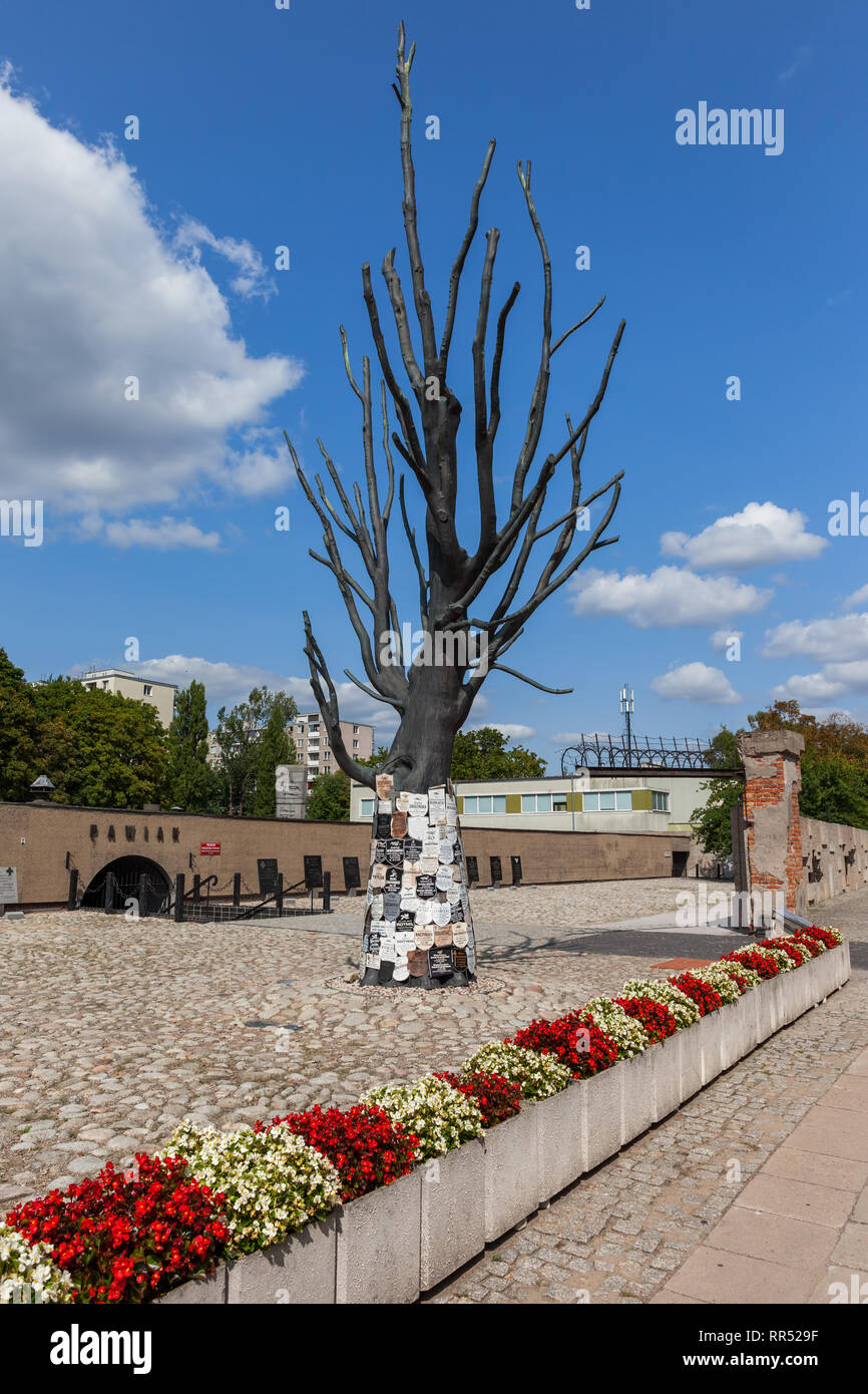 Memorial tree al Museo della prigione di Pawiak nella città di Varsavia in Polonia Foto Stock
