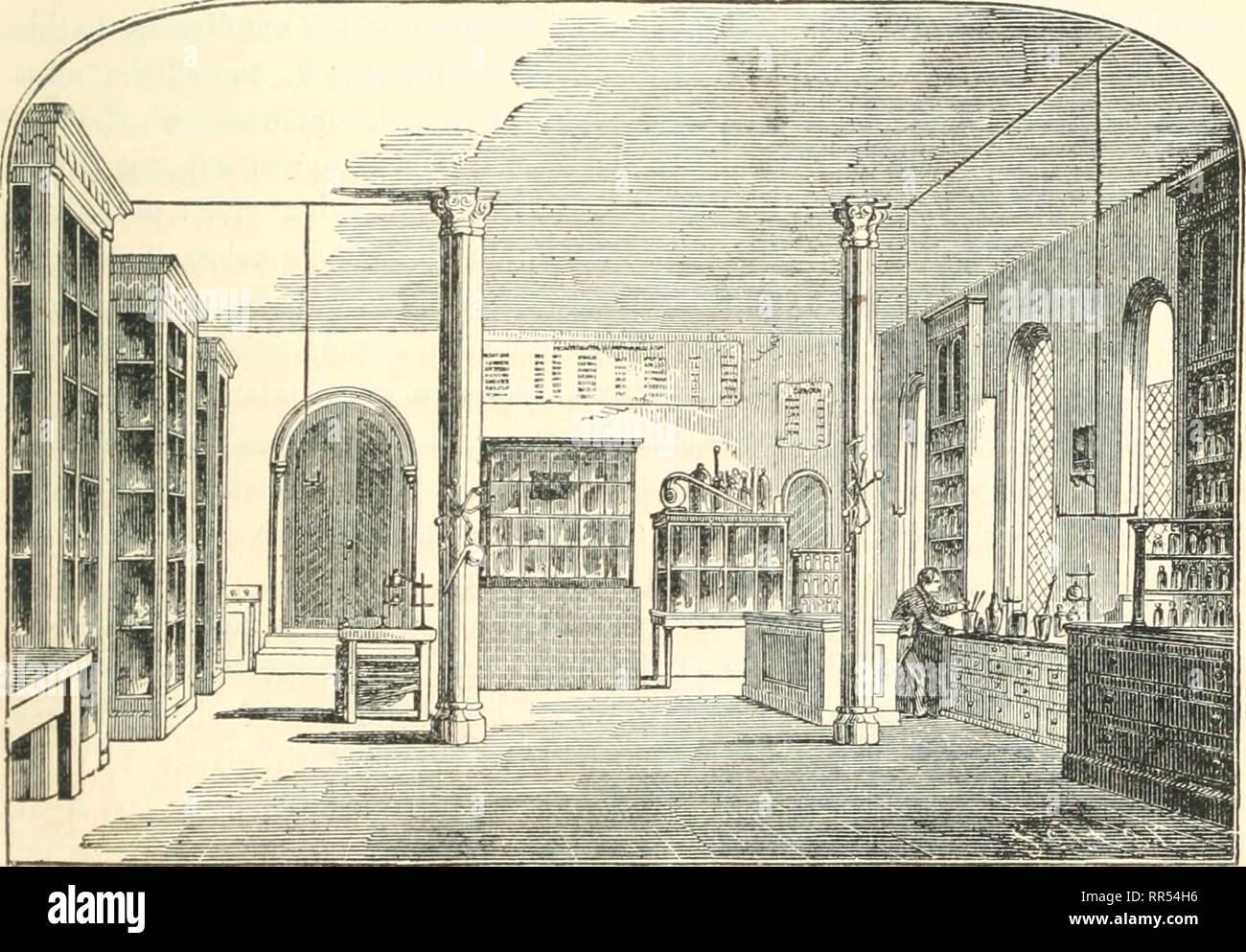 . Un account del Smithsonian Institution, suo fondatore, edificio, operazioni, ecc. Smithsonian Institution. Il Smithsonian Institution. 31 utation può a stento essere troppo altamente stimato; per la sua influenza, benché silenzioso, è sentito in ogni parte del mondo in cui la scienza e la letteratura sono coltivati. Diversi dell'oceano di navigazione a vapore e una porzione del nostro entroterra di inoltro e le aziende di trasporto, in ringraziamento per i benefici che hanno re- ricevuto, come anche per contrassegnare il loro alto apprezzamento del eflforts dell'Istituzione per promuovere la conoscenza, hanno portato il traffico merci da e verso Foto Stock