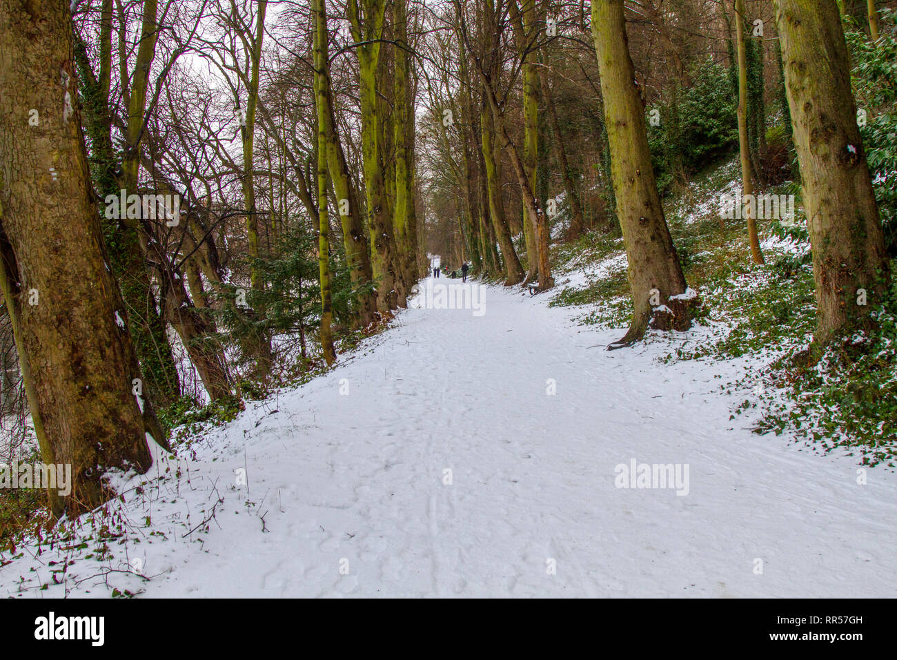 Passeggiate lungo il fiume usura nella neve Foto Stock