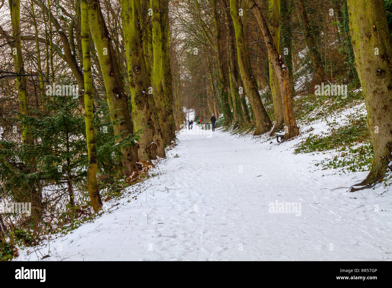 Passeggiate lungo il fiume usura nella neve Foto Stock